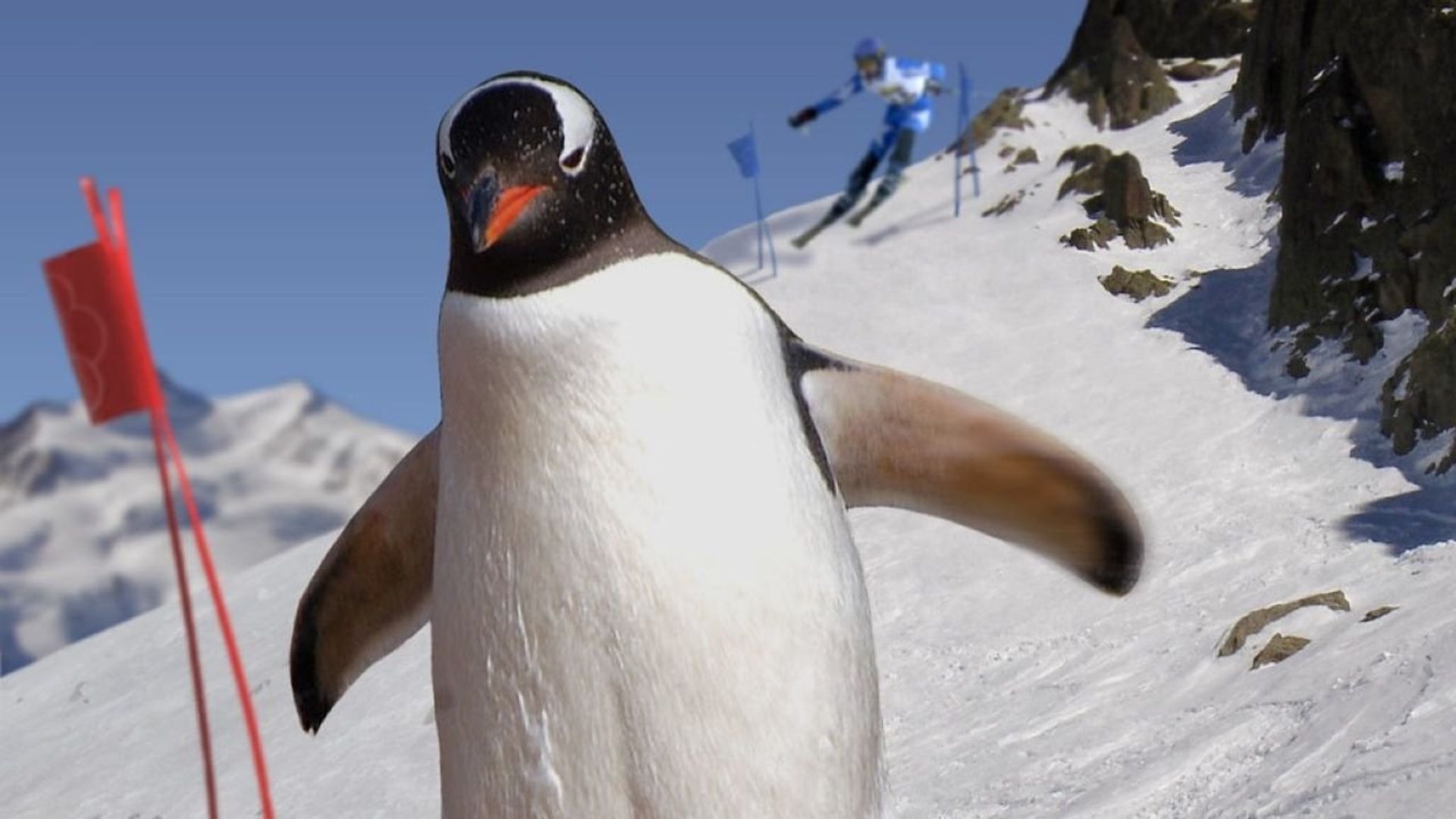 Animal Winter Olympics background