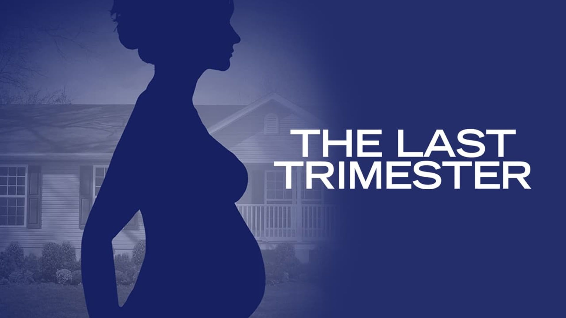 The Last Trimester background
