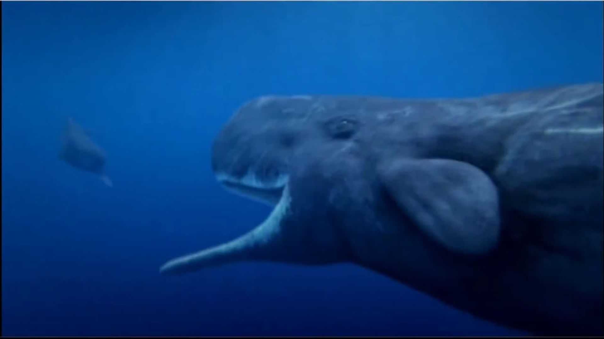 Secrets of the Deep background