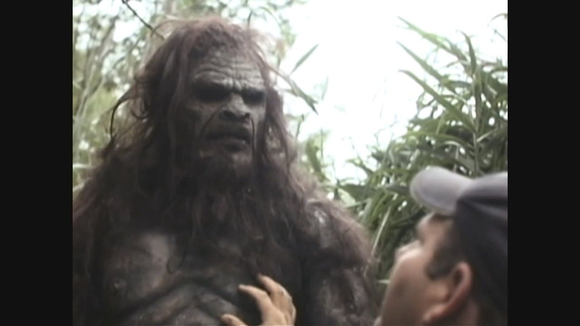 Bigfoot background