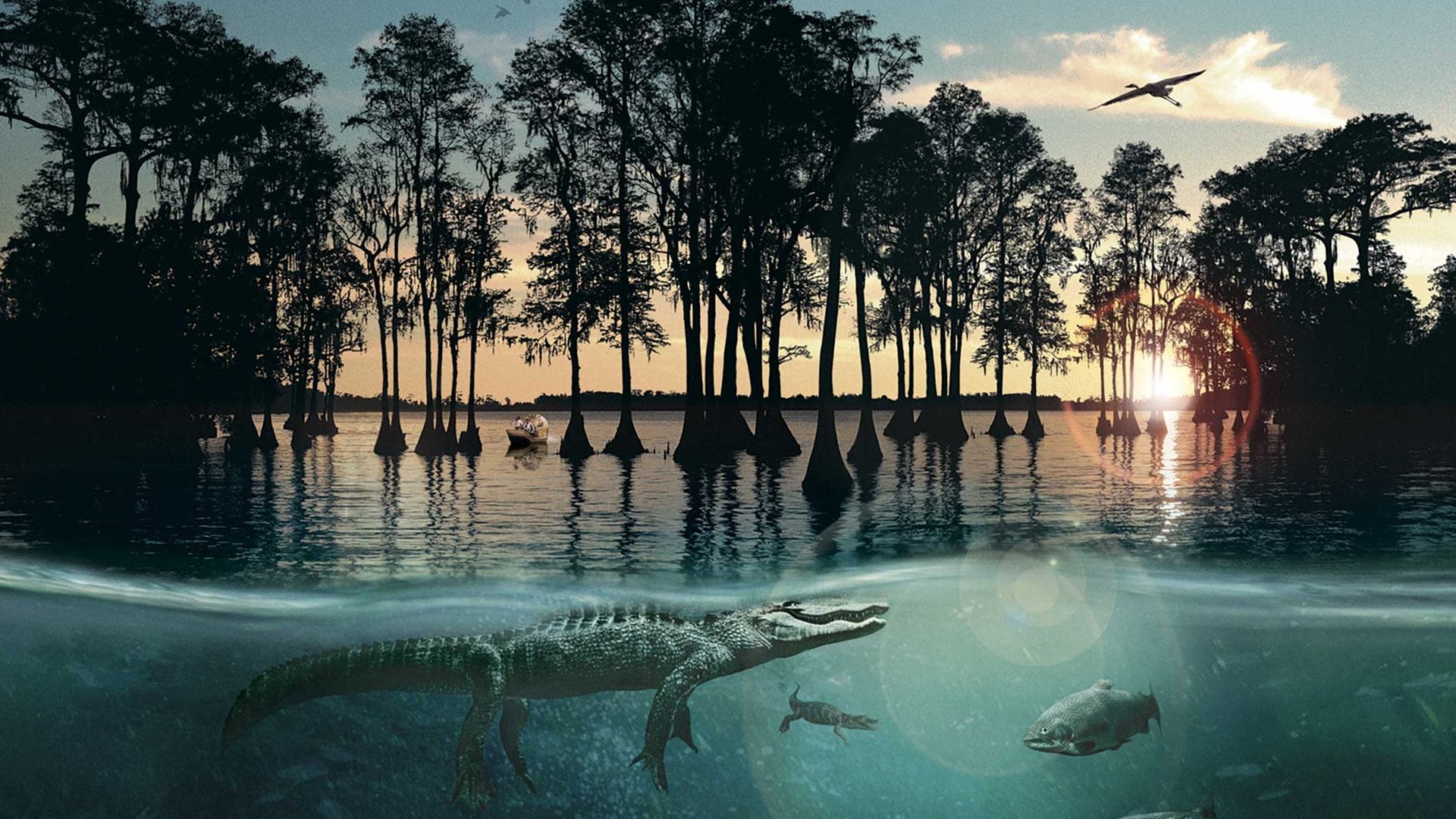 Hurricane on the Bayou background