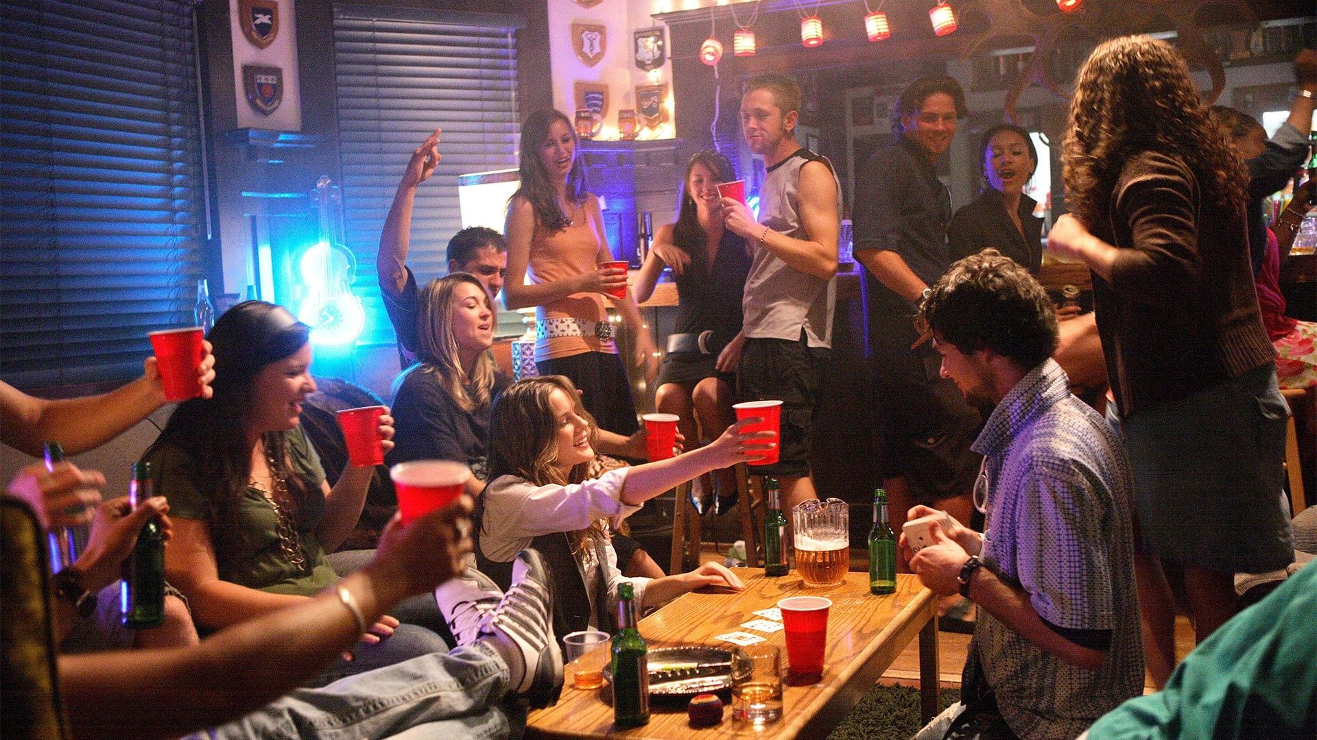 The Party Never Stops: Diary of a Binge Drinker background