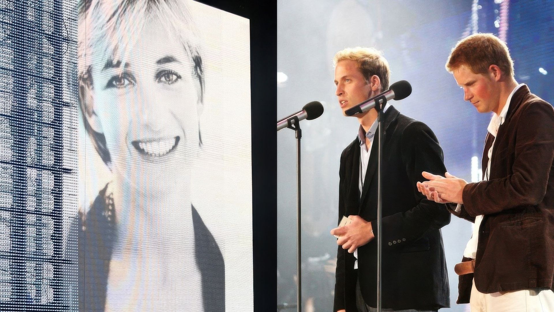 Concert for Diana background