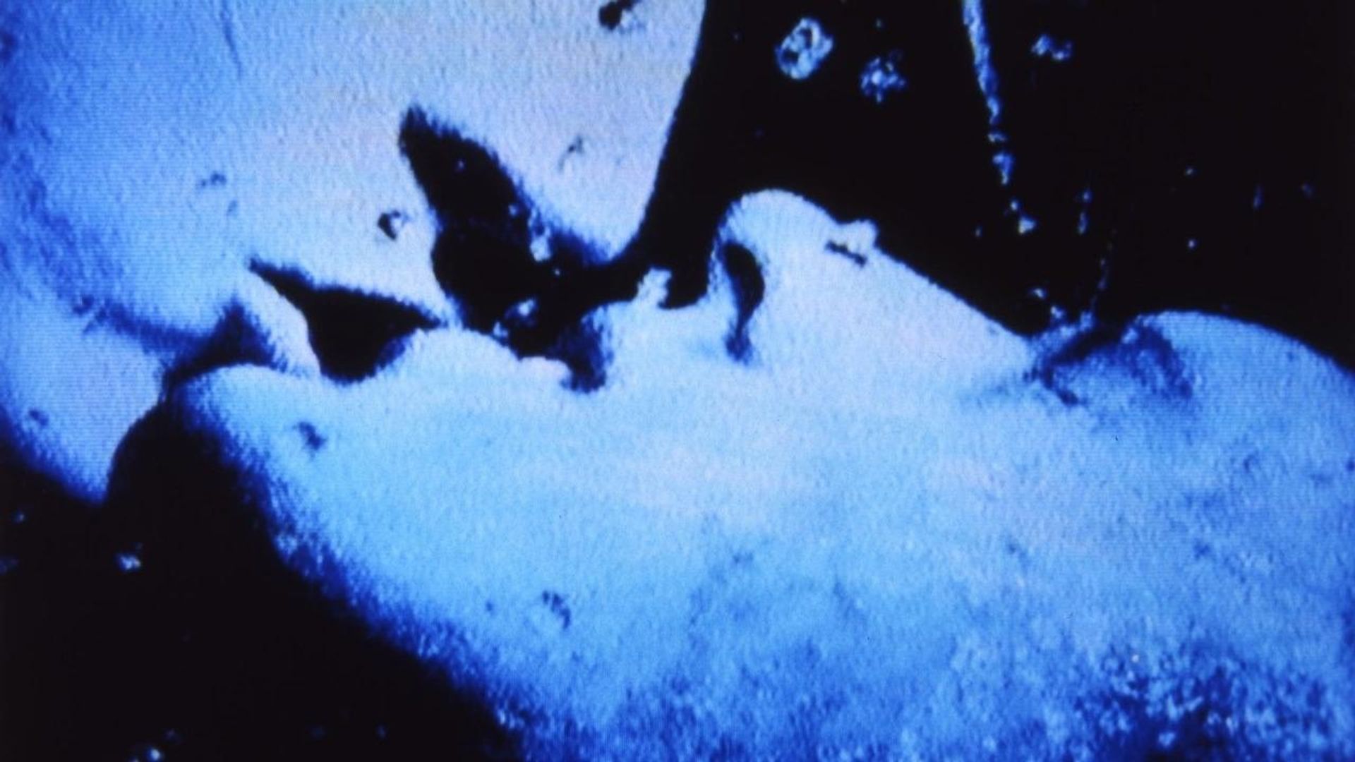 Self-Portrait in 23 Rounds: A Chapter in David Wojnarowicz's Life, 1989-1991 background