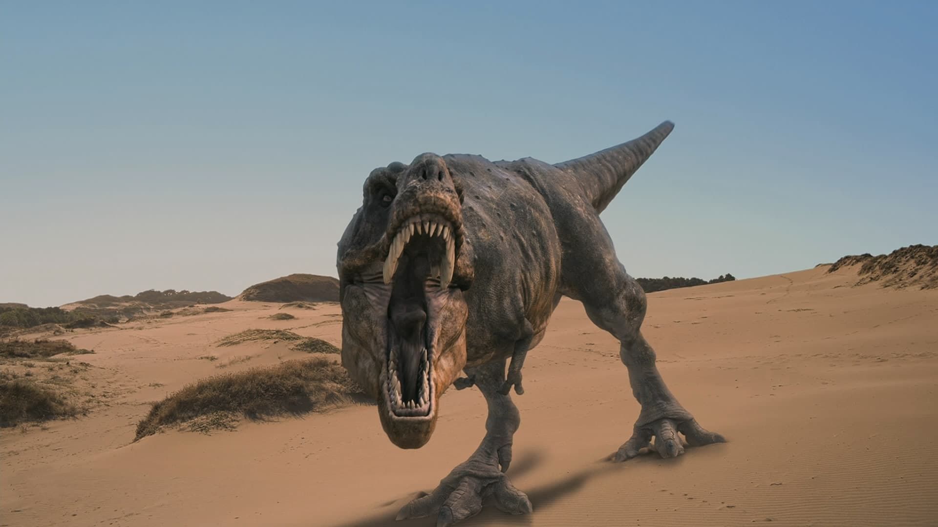 Dinosaurs Alive background
