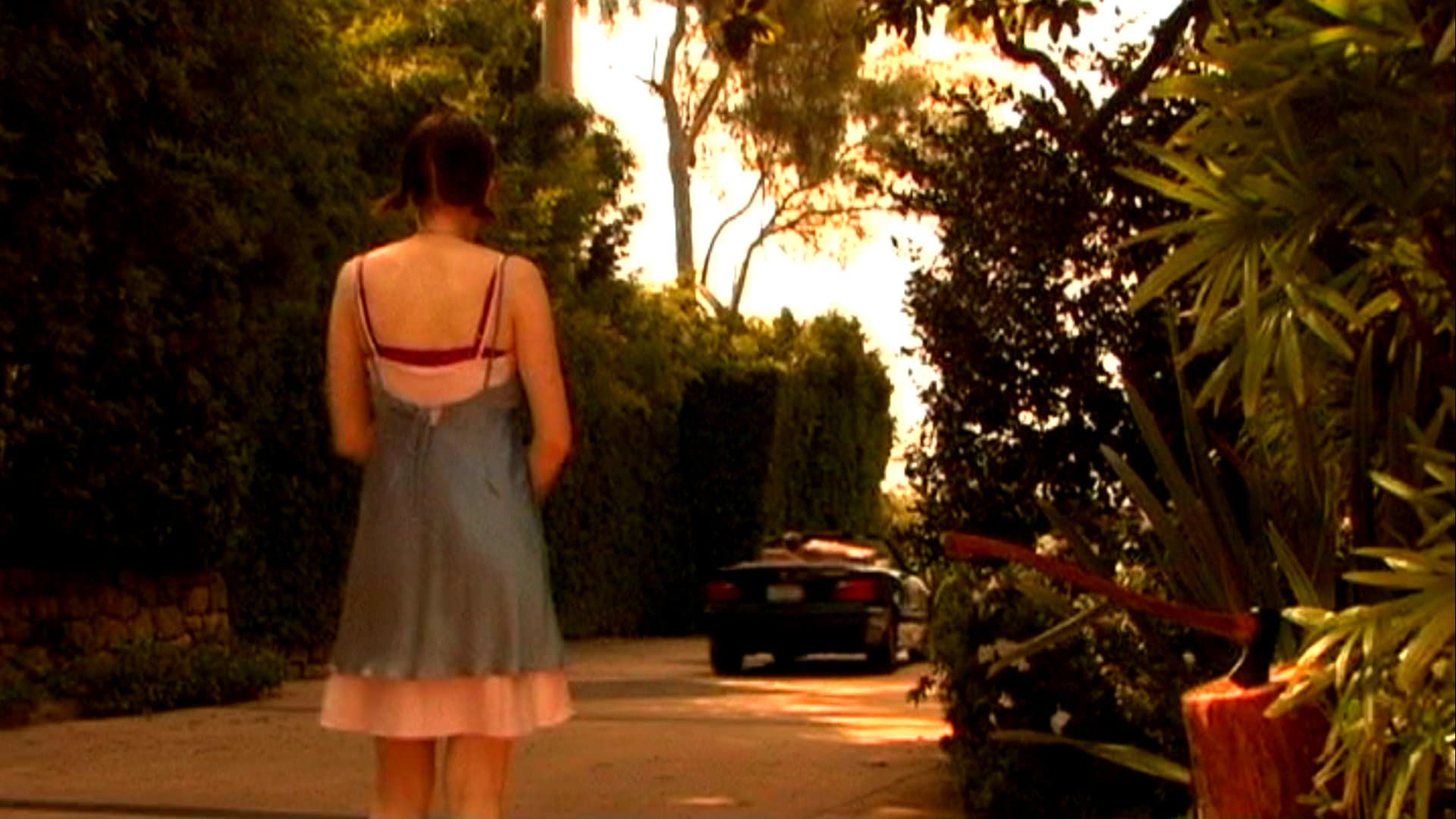 The Son of Sam's Daughter background