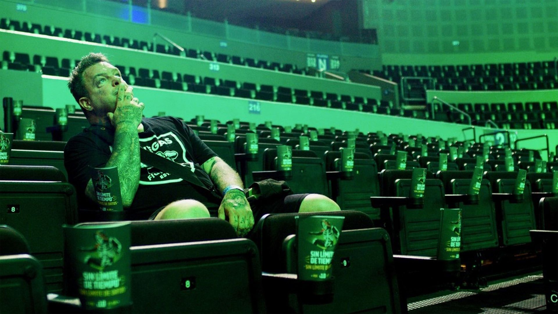 Nail in the Coffin: The Fall and Rise of Vampiro background