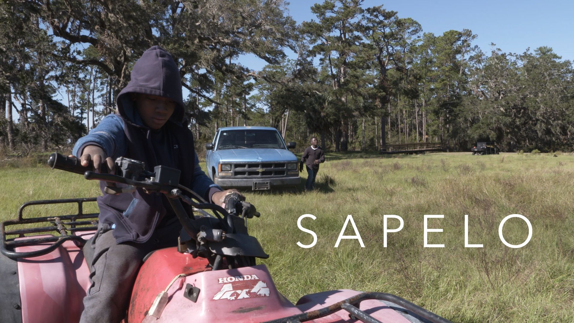 Sapelo background