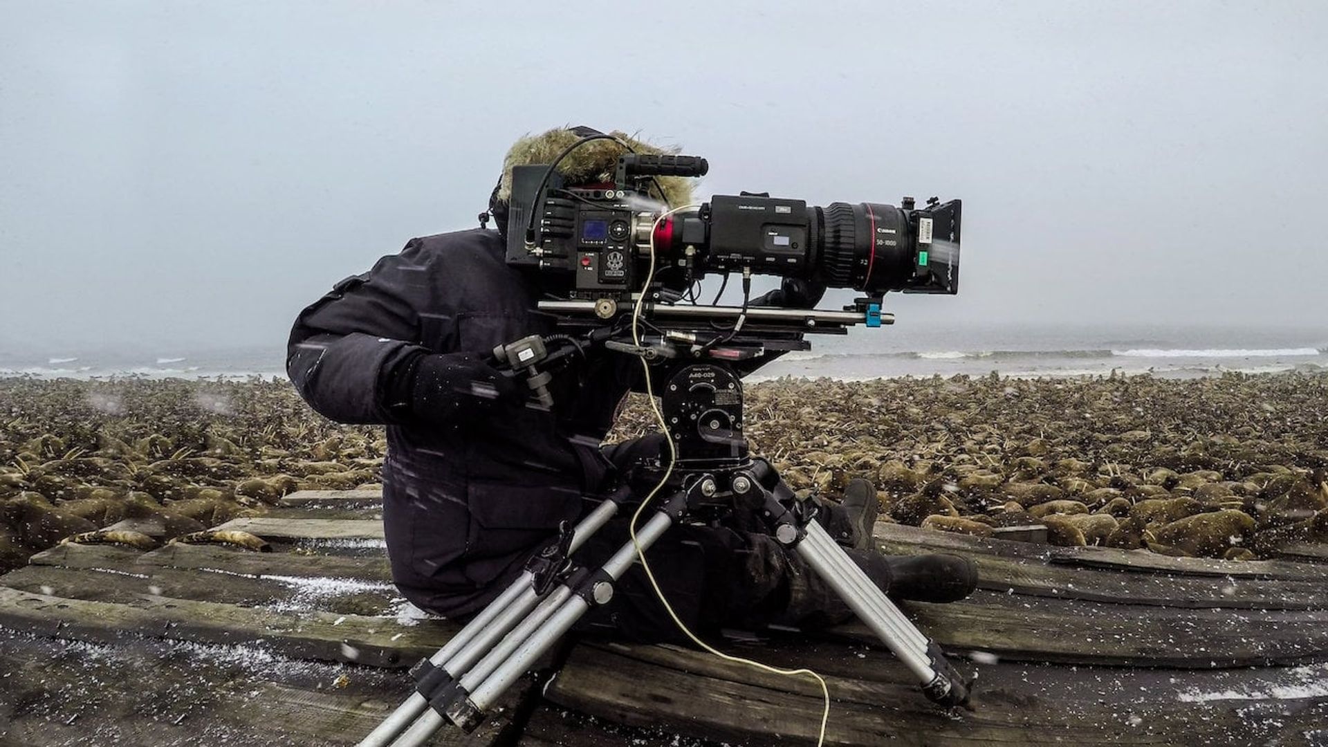 Our Planet: Behind the Scenes background