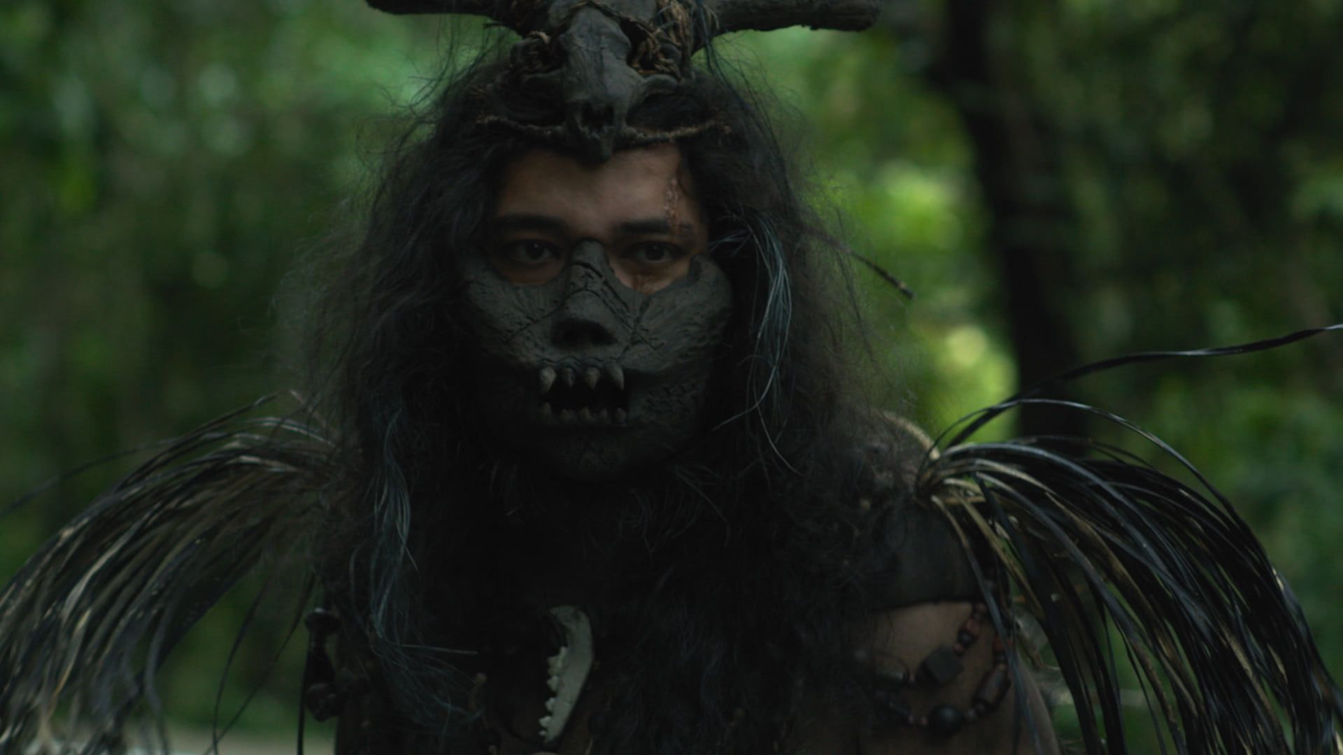 Woman in the Woods background