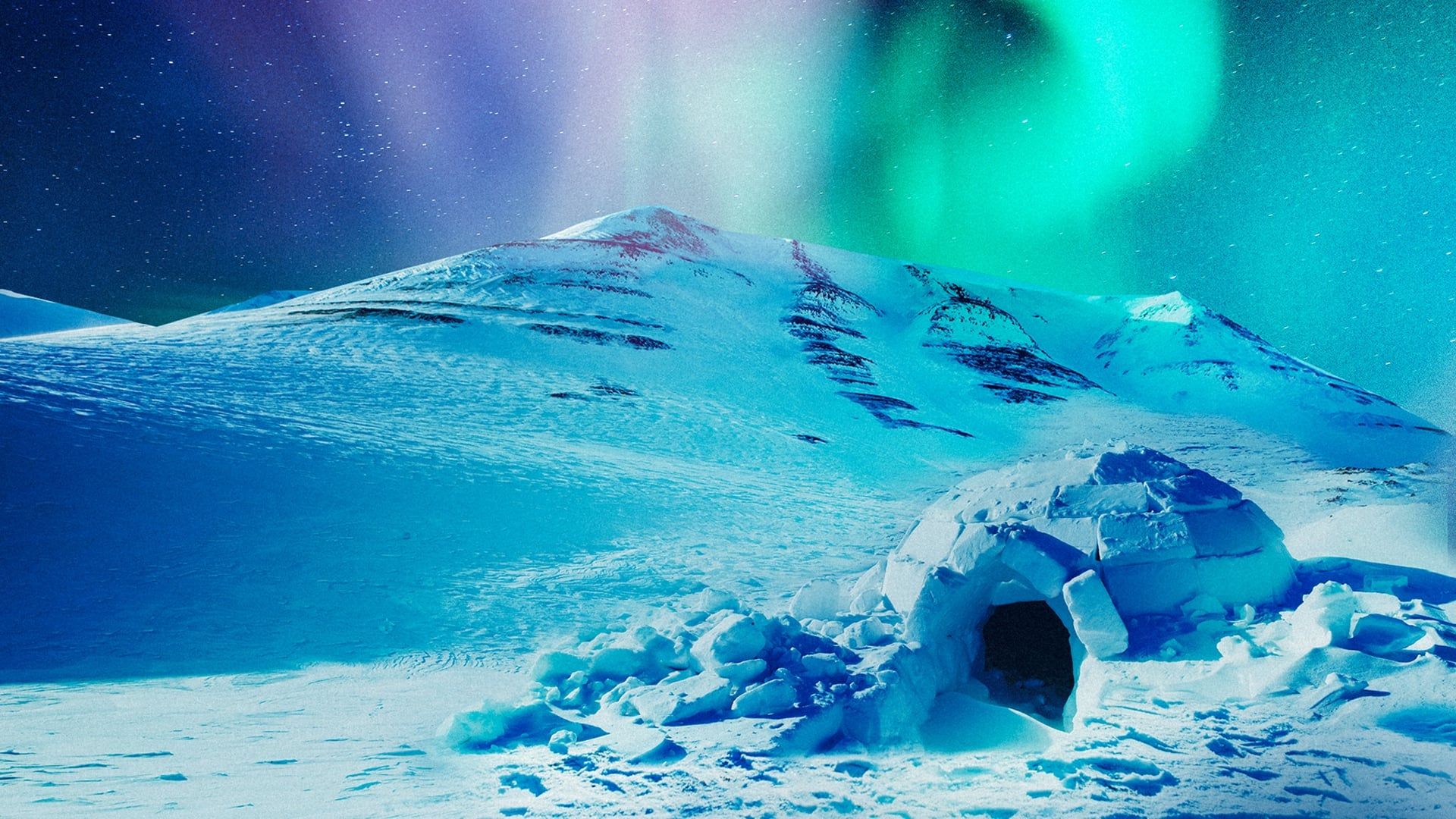 The Last Igloo background