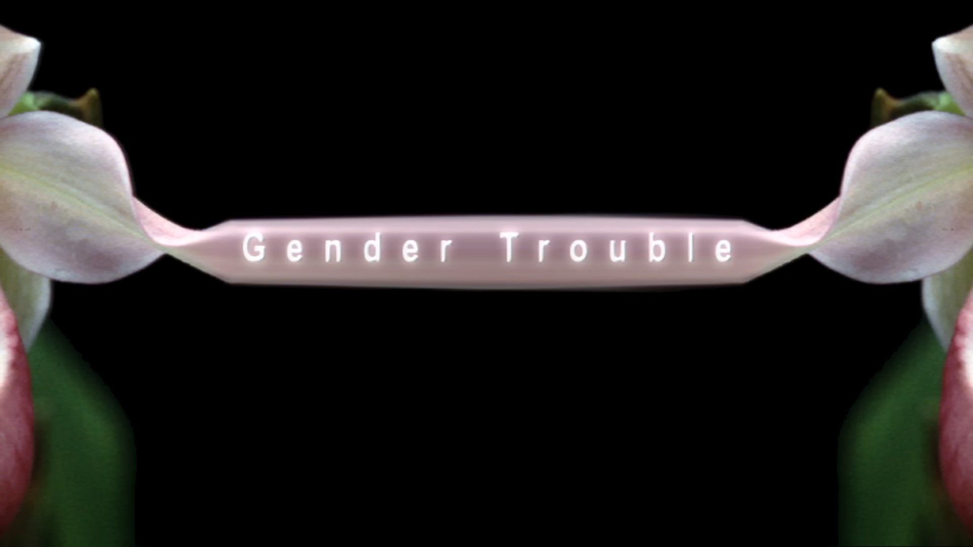 Gender Trouble background