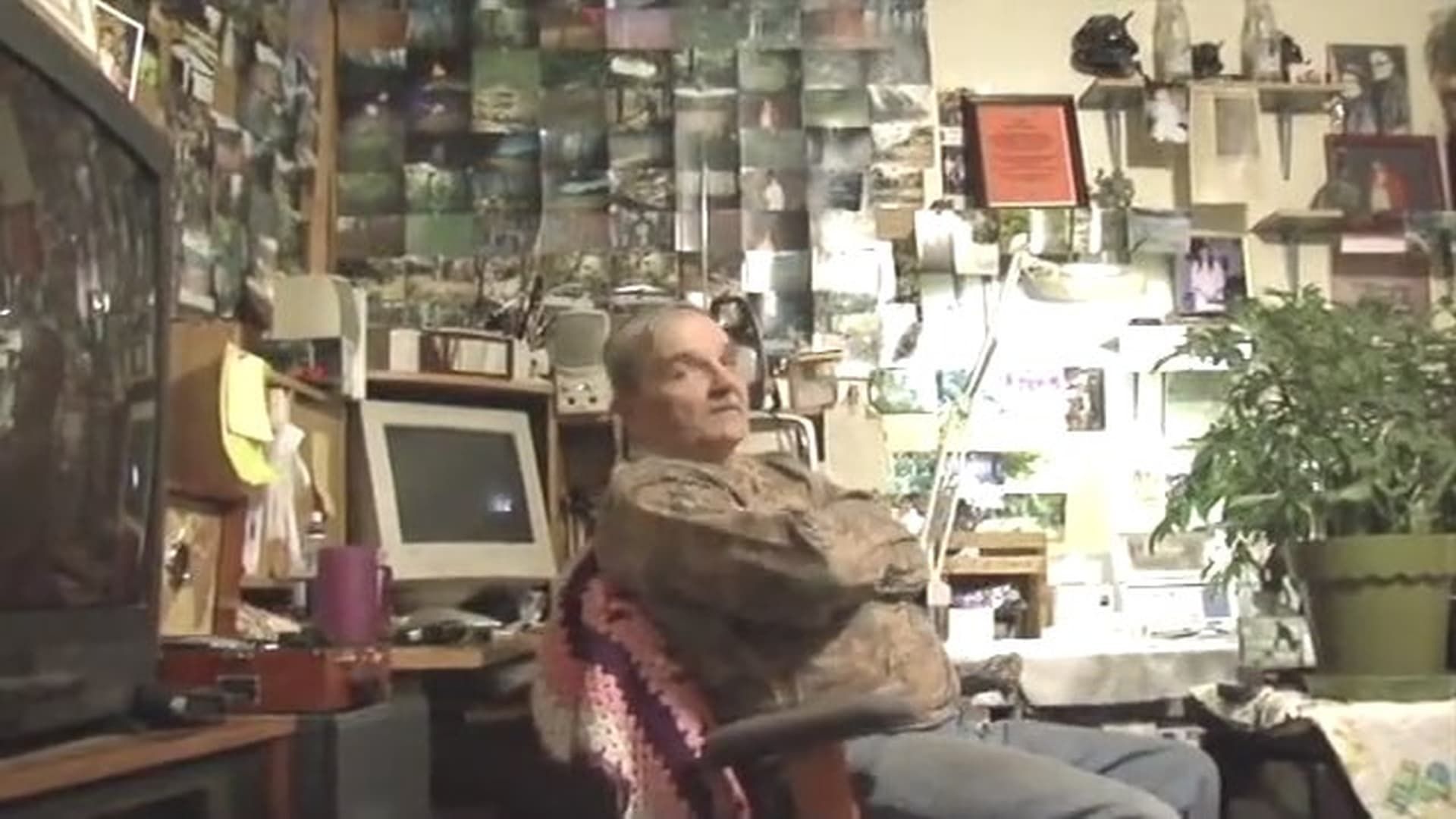 Not Your Typical Bigfoot Movie background