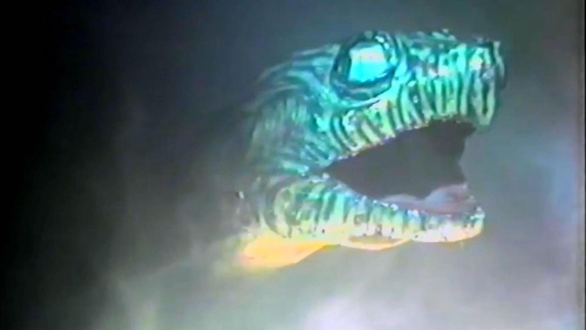 Snapper: The Man-Eating Turtle Movie That Never Got Made background