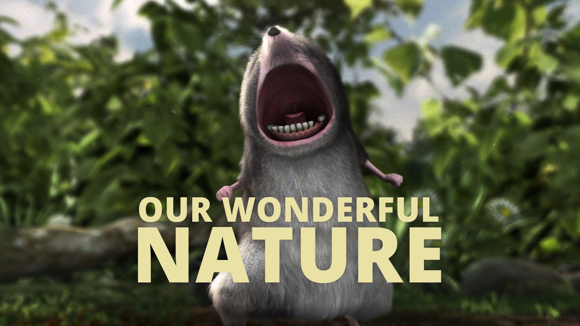 Our Wonderful Nature background