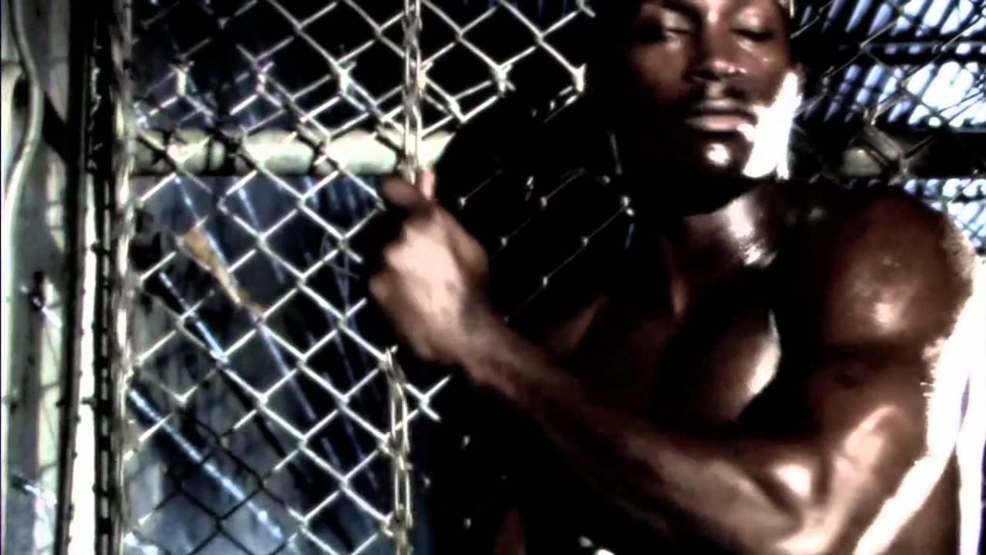 Vale Tudo Project background