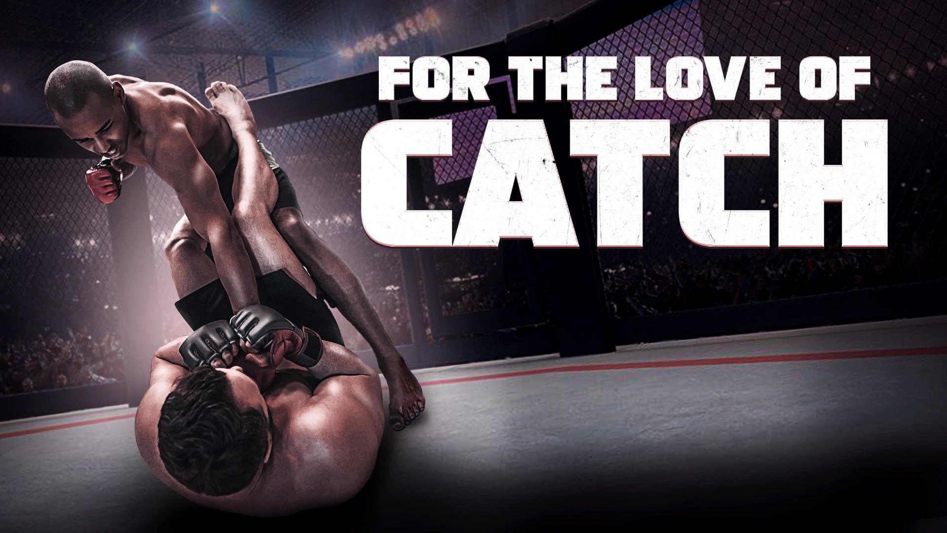 For the Love of Catch background
