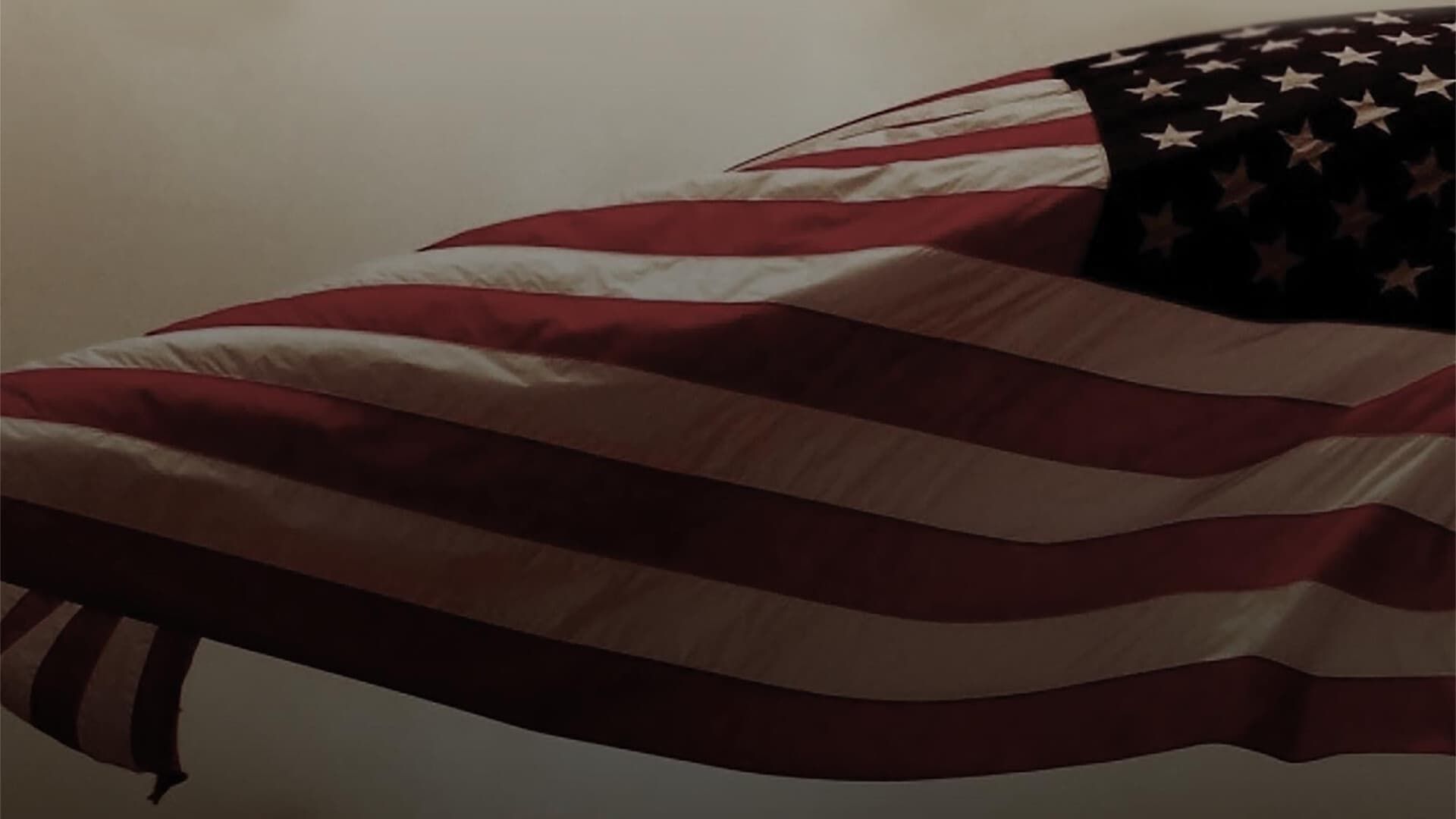 Suppressed 2020: The Fight to Vote background