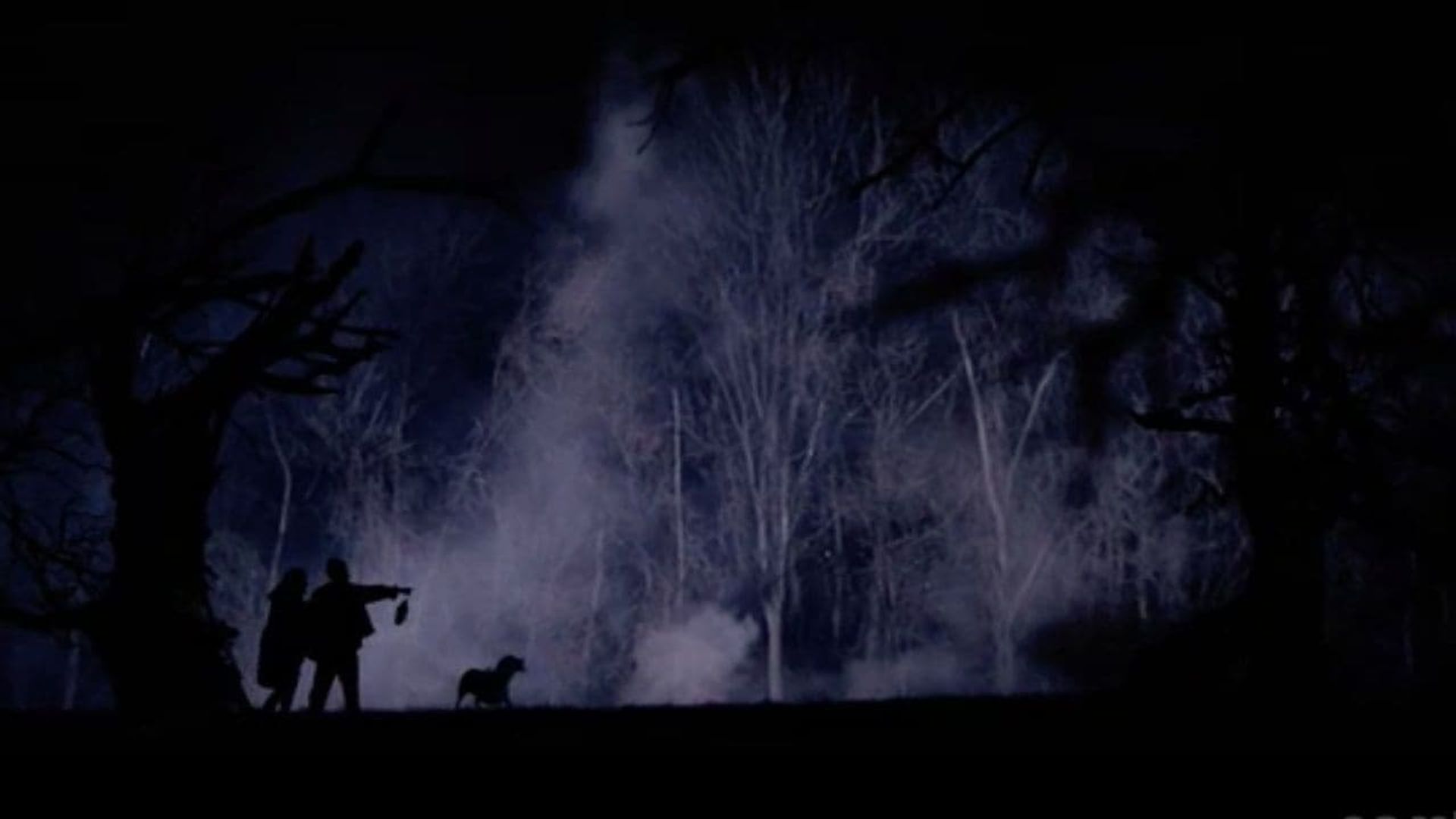 The Hollow Tree background