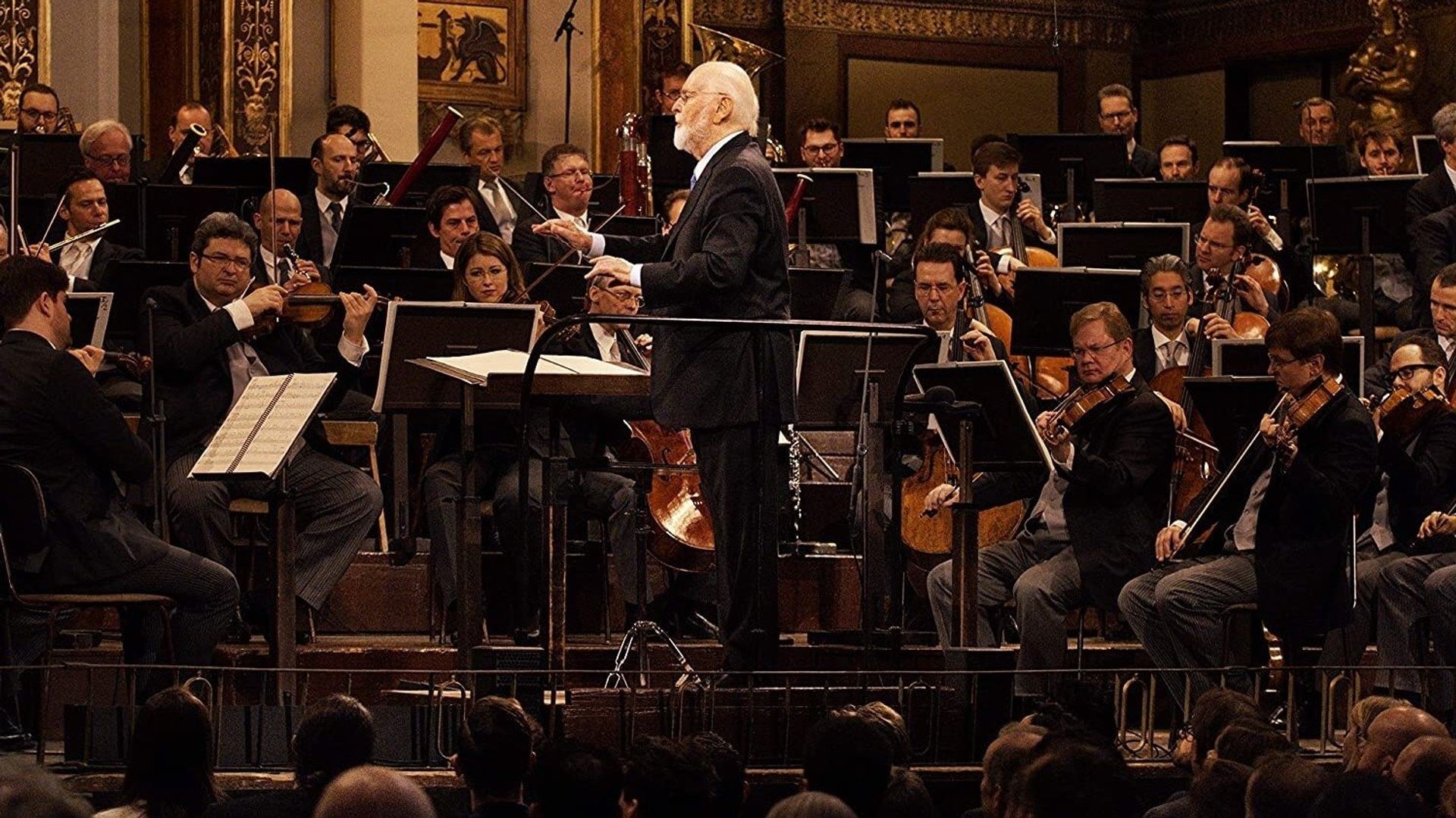 John Williams: Live in Vienna background