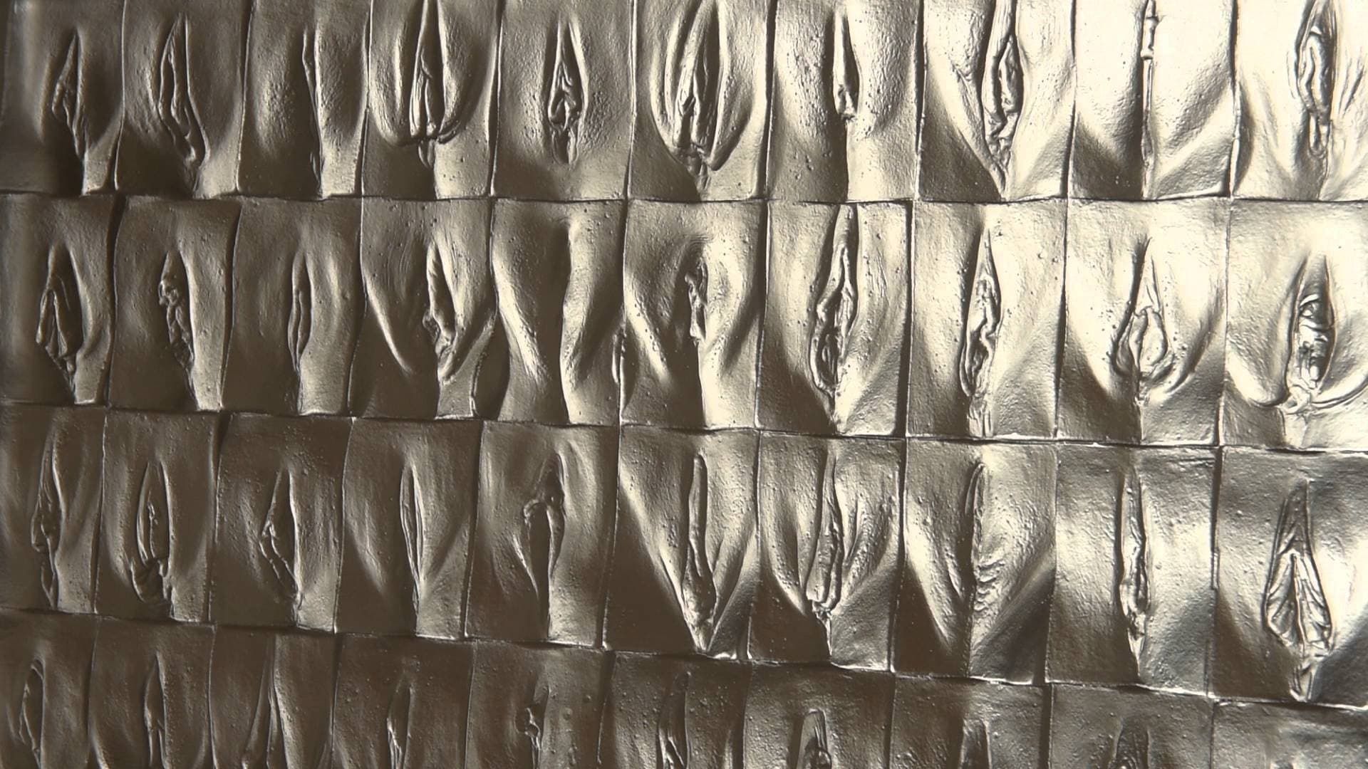 The Perfect Vagina background