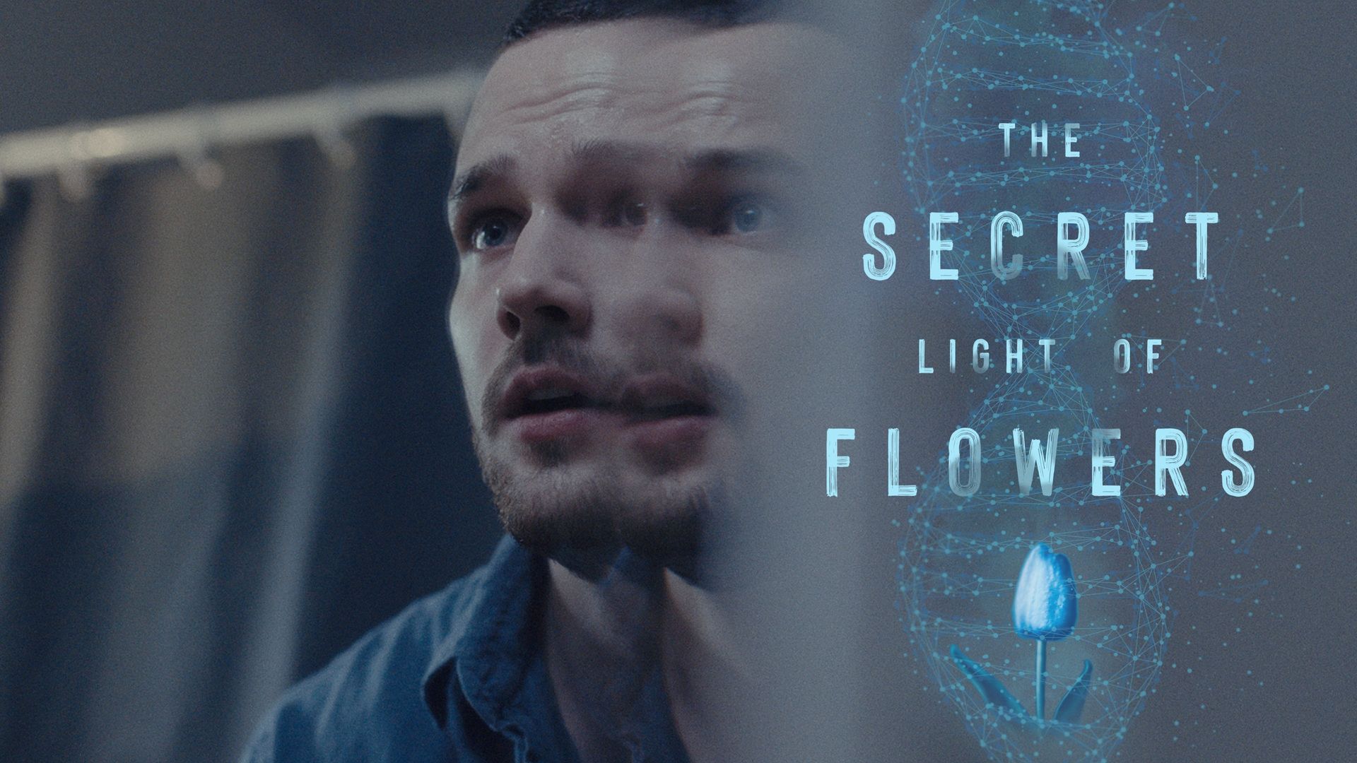 The Secret Light of Flowers background