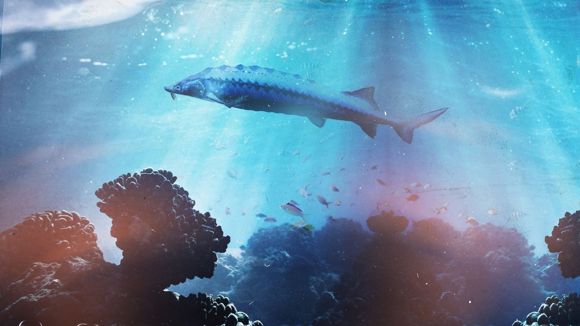 Saving the Dinosaur Fish background