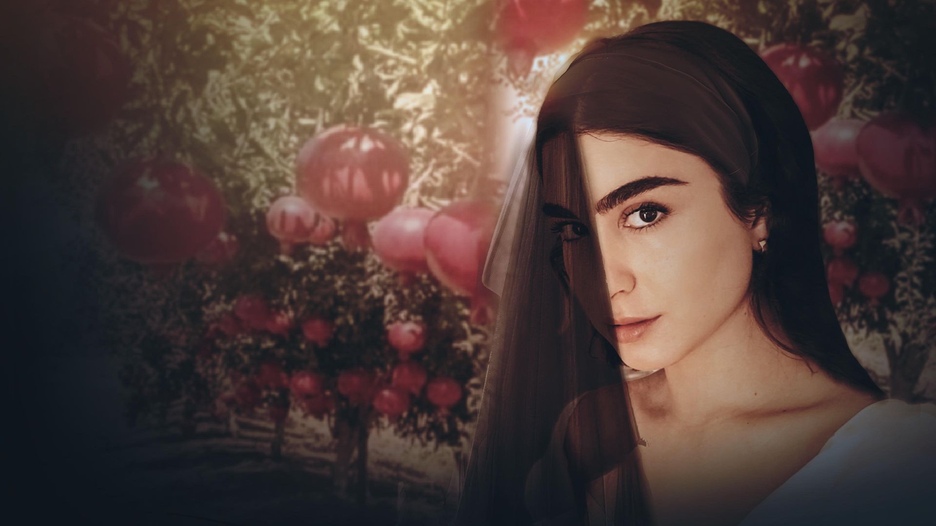 Pomegranate background