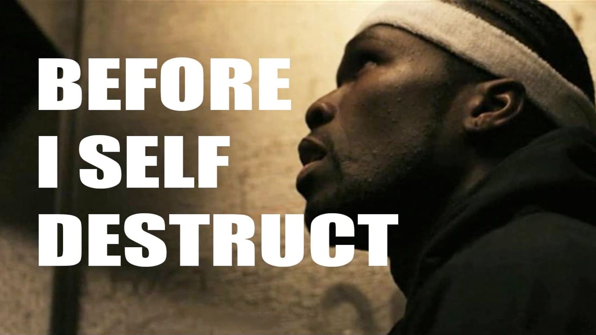 Before I Self Destruct background