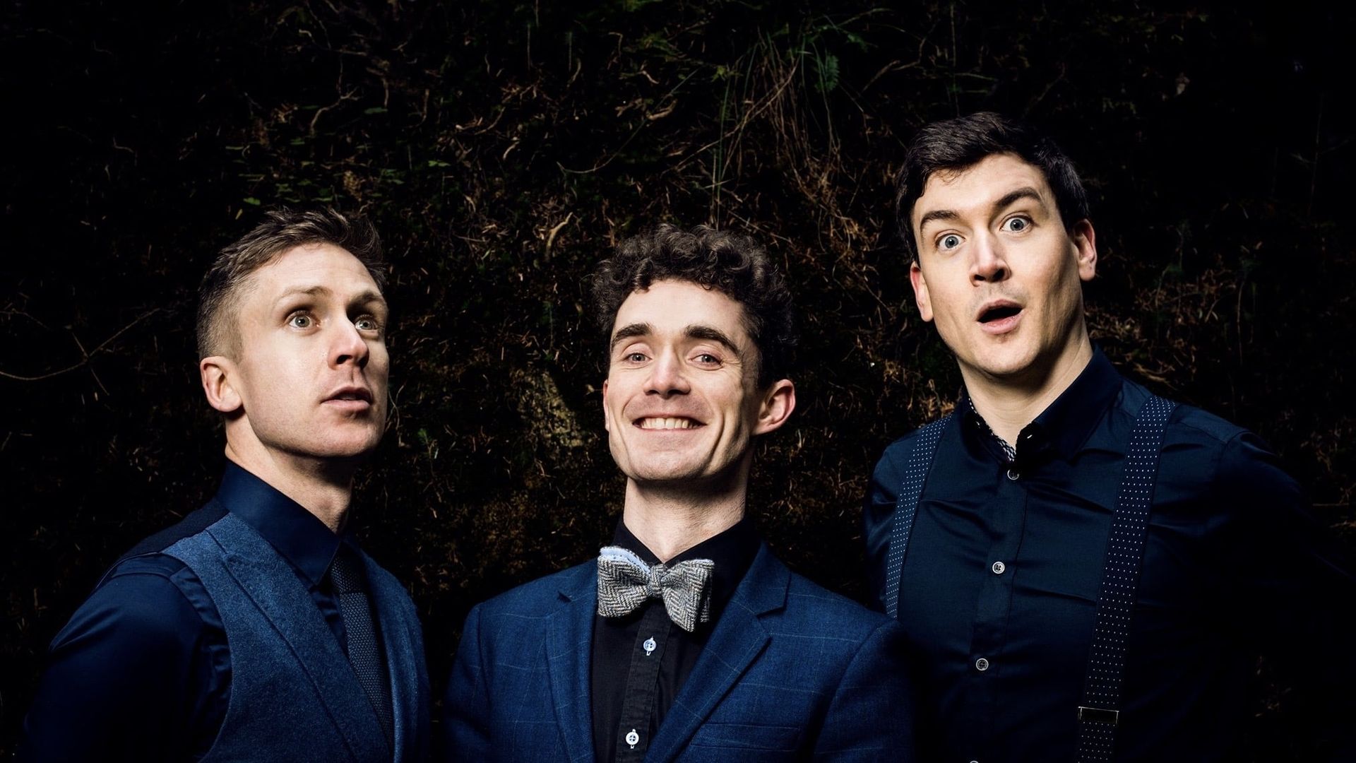 Foil Arms and Hog: Live at Vicar Street background