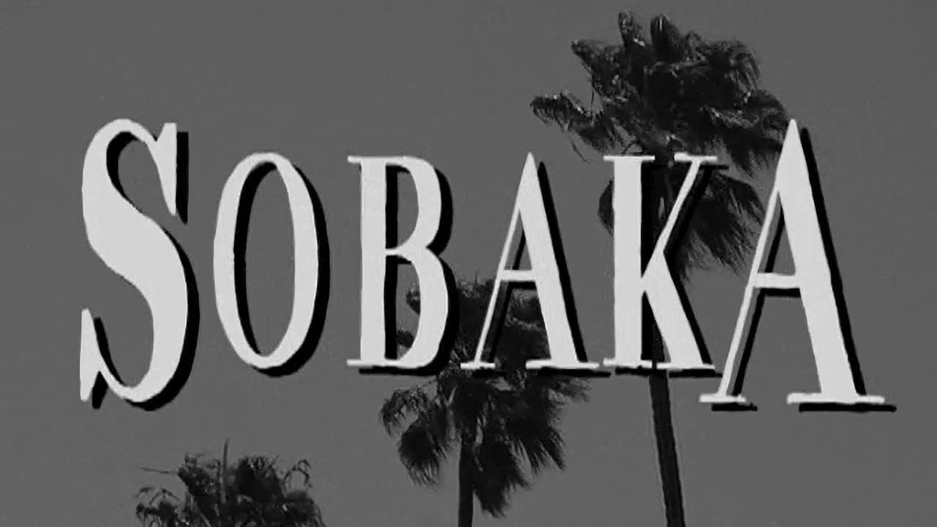 Sobaka background