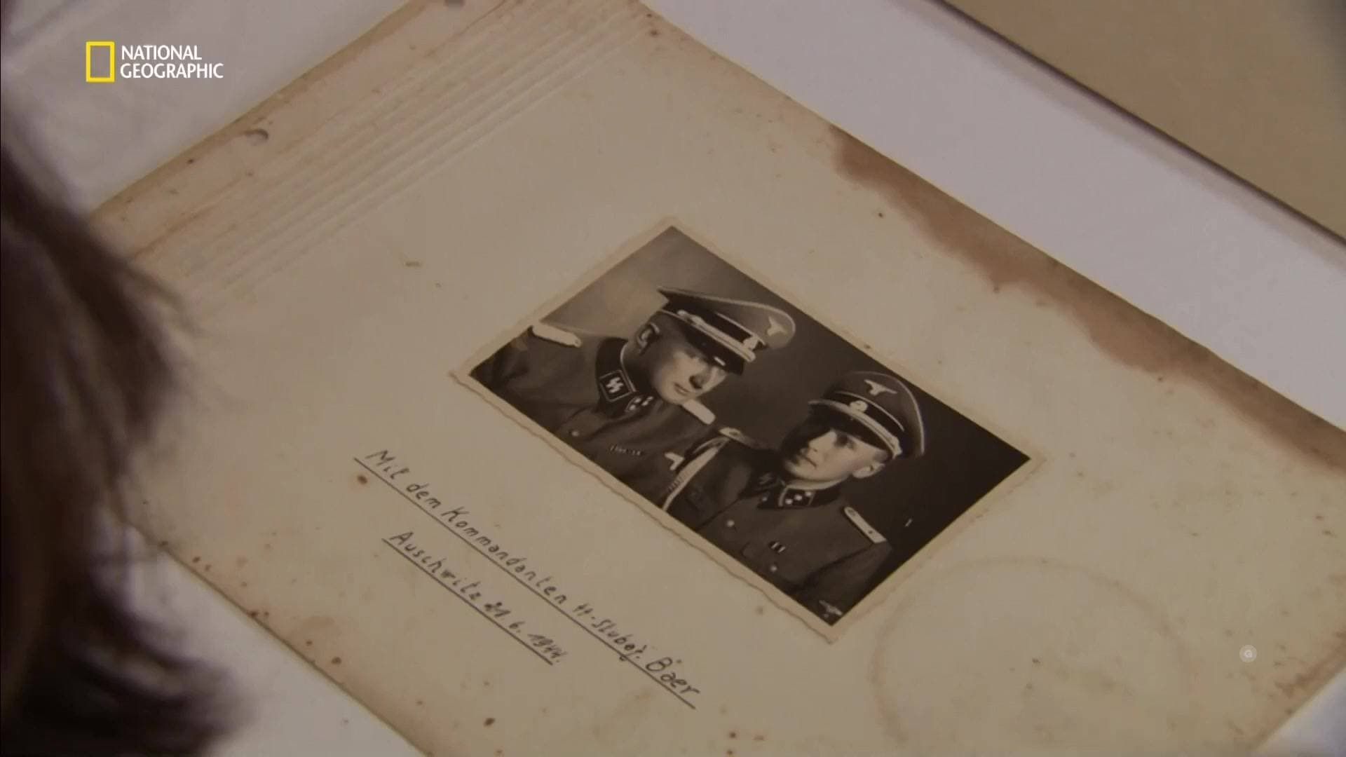 Scrapbooks from Hell: The Auschwitz Albums background
