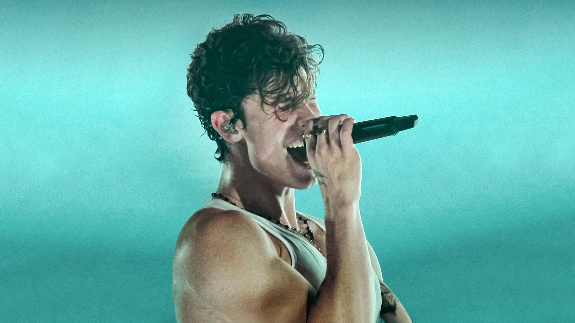 Shawn Mendes: Live in Concert background