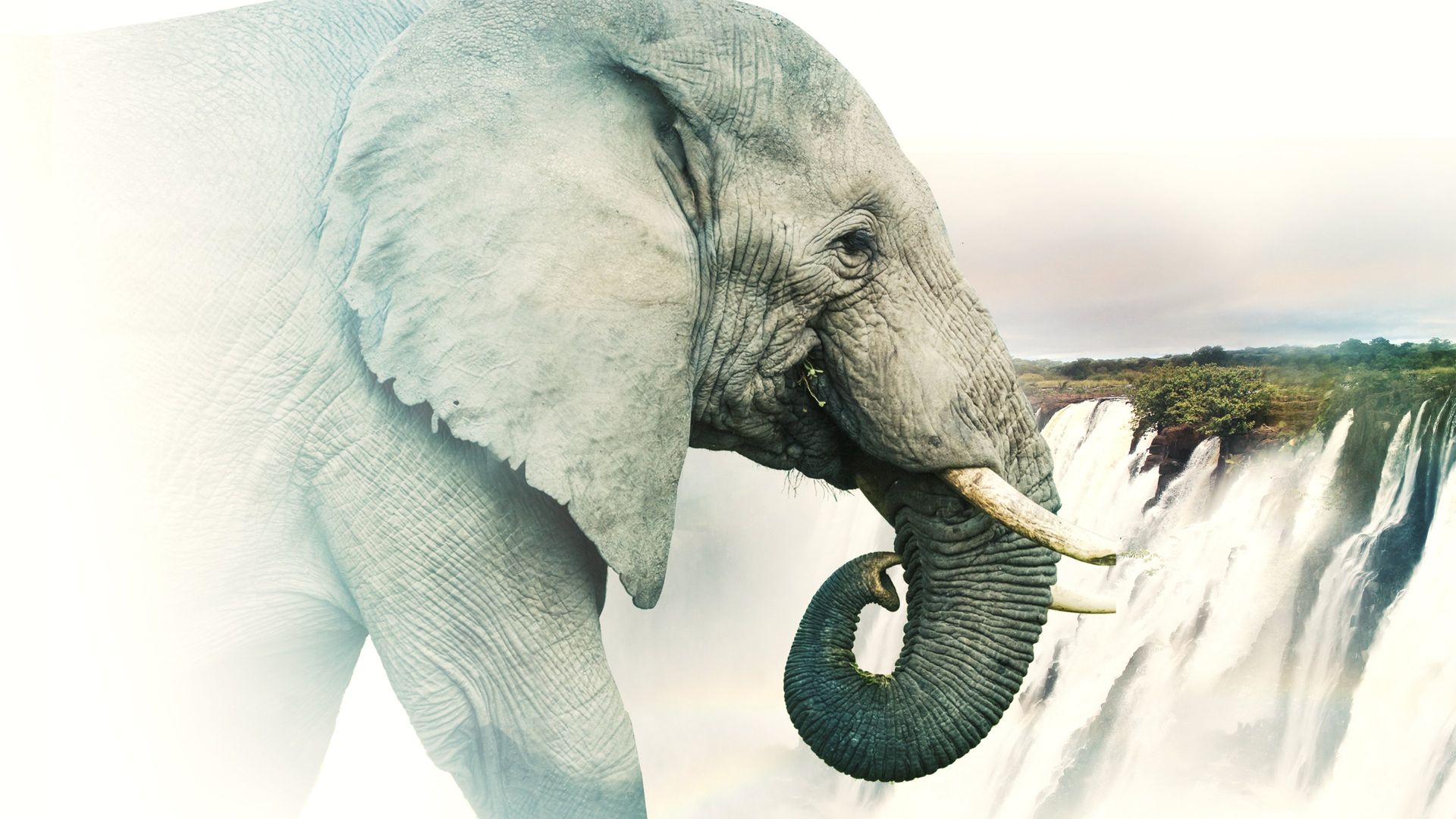 Victoria Falls: Africa's Garden of Eden background