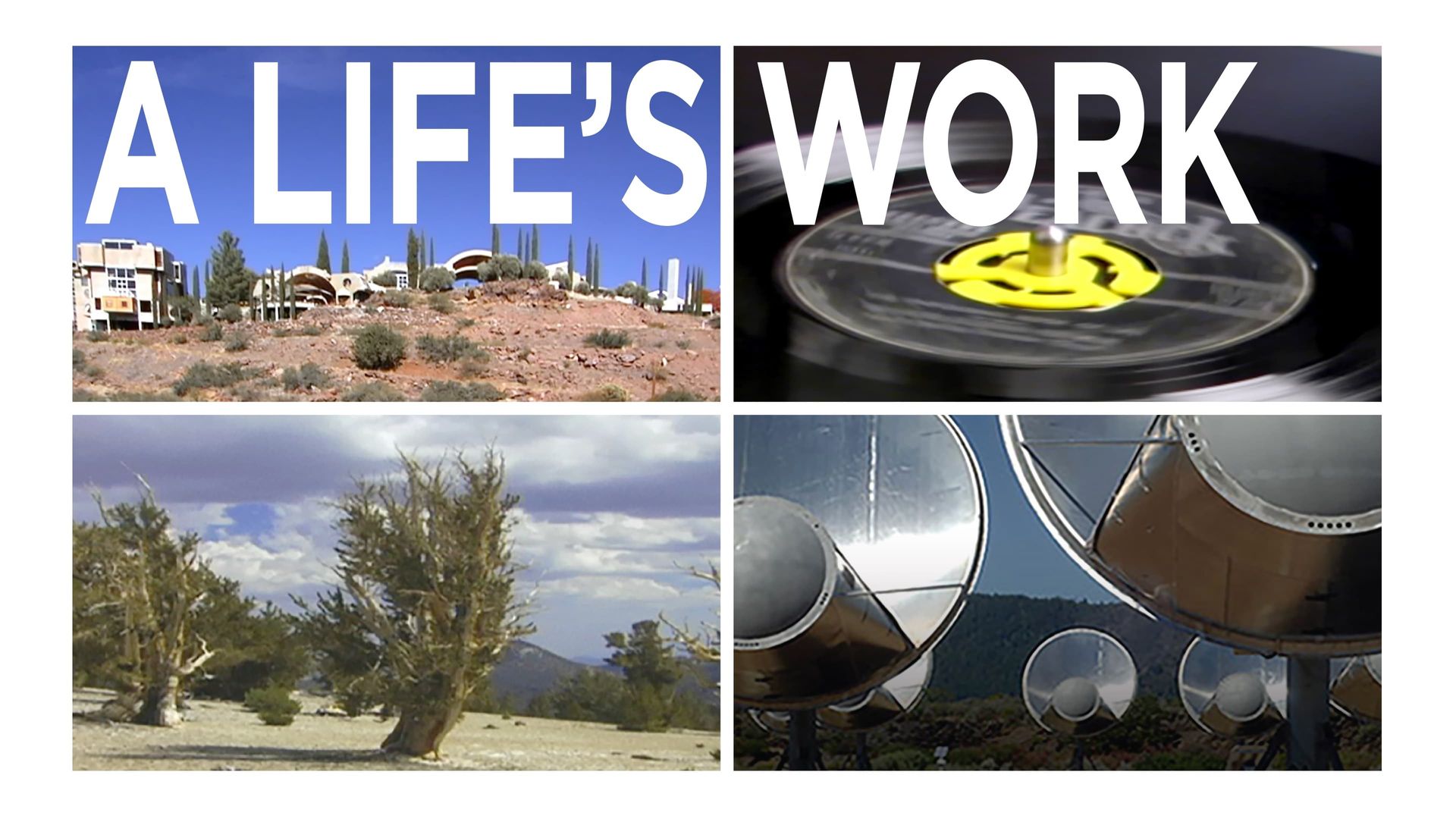 A Life's Work background