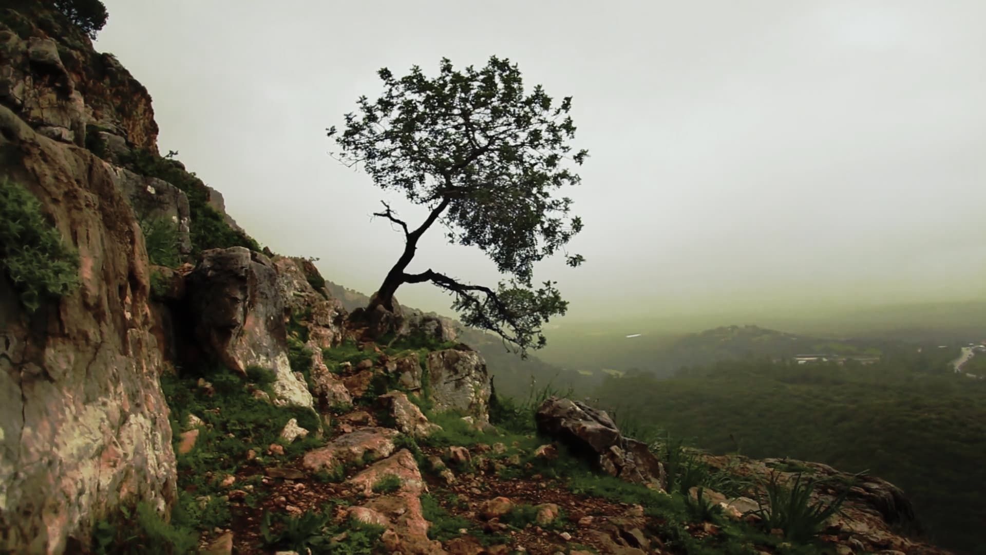 Is Mindfulness Right for You? background