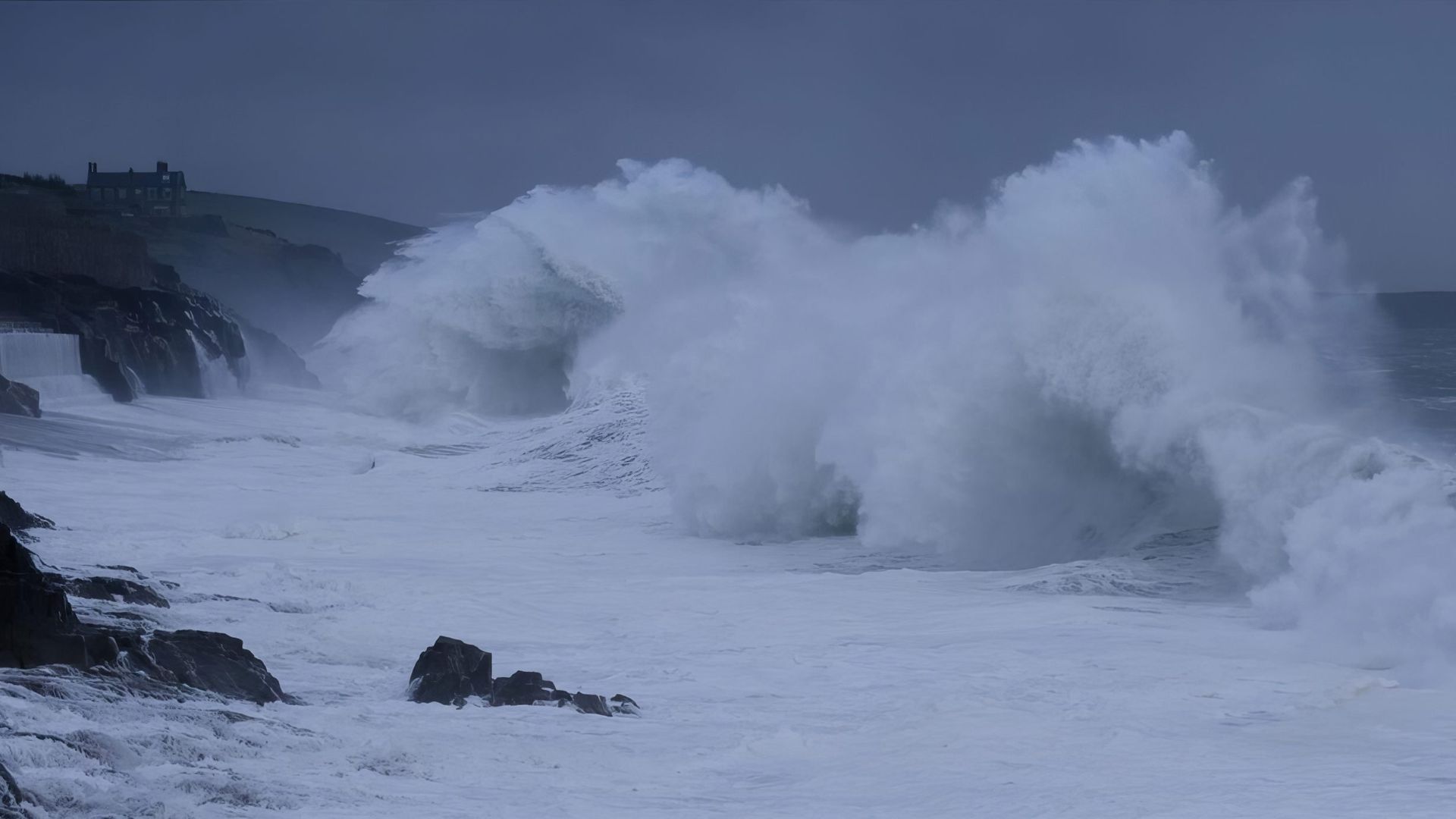 From the Wild Sea background