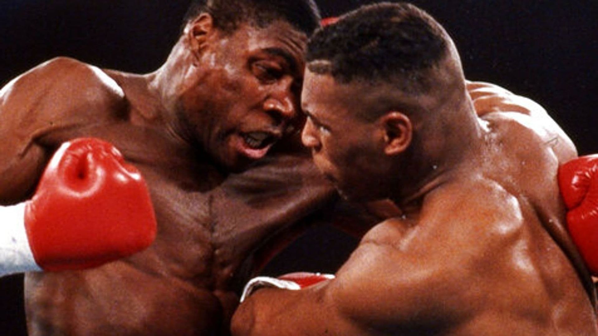 Bruno v Tyson background
