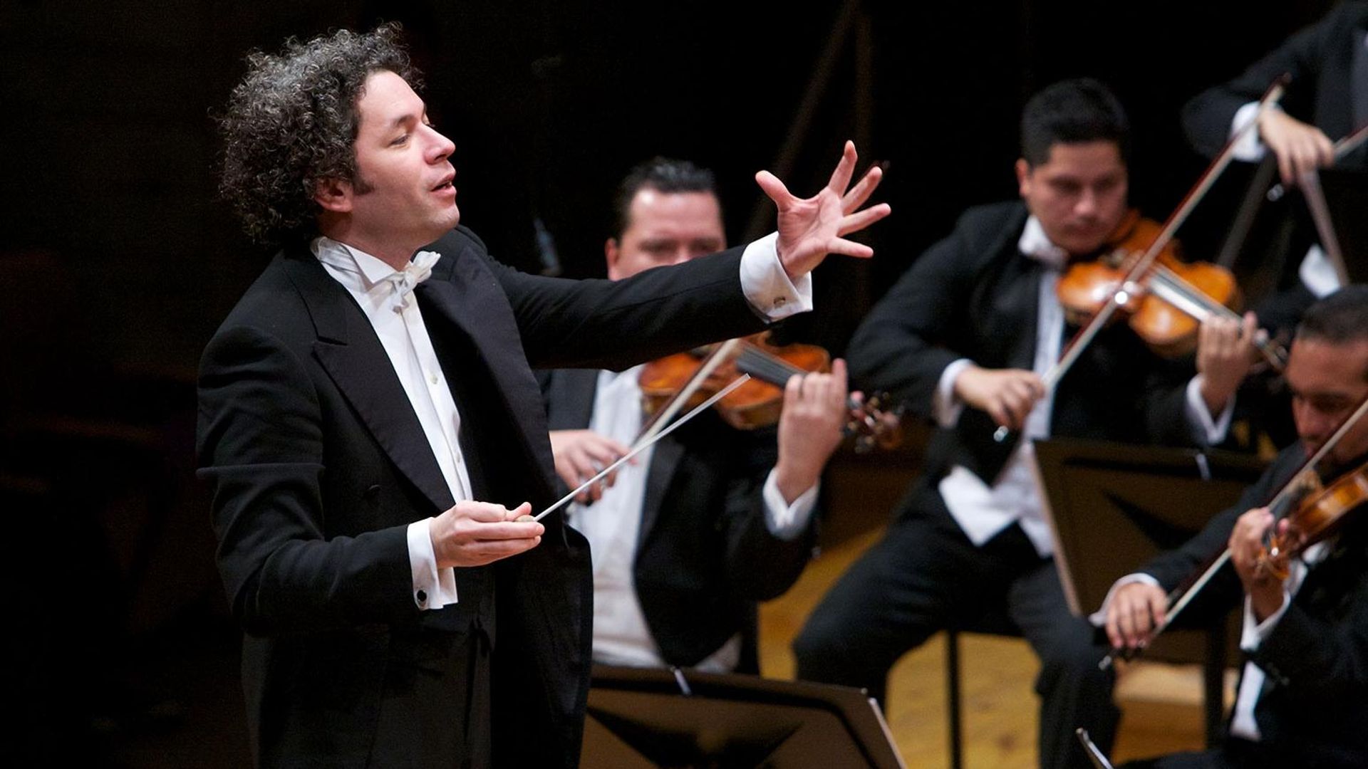 ¡Viva Maestro! background