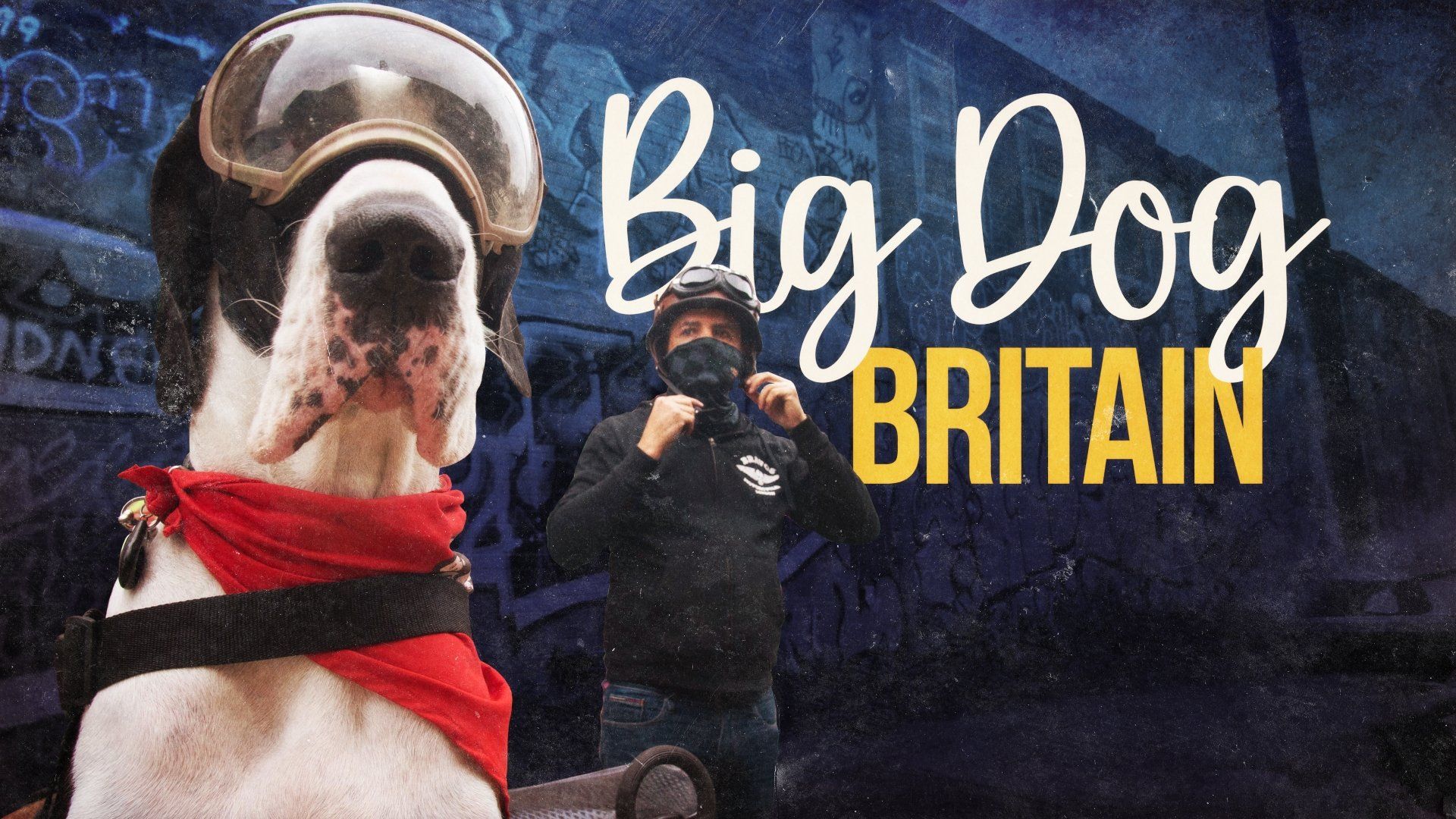 Big Dog Britain background