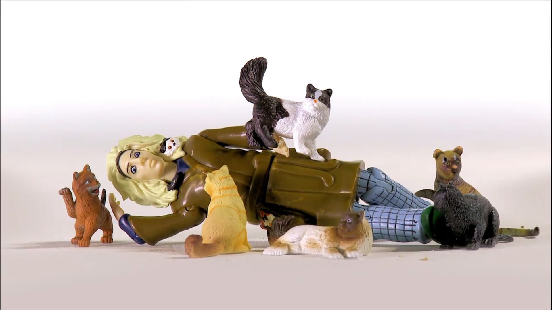 Cat Ladies background