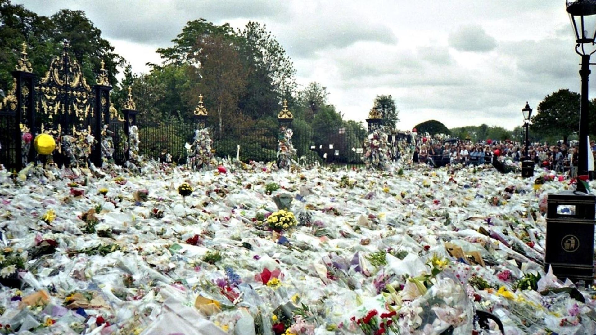 The Last Days of Princess Diana background