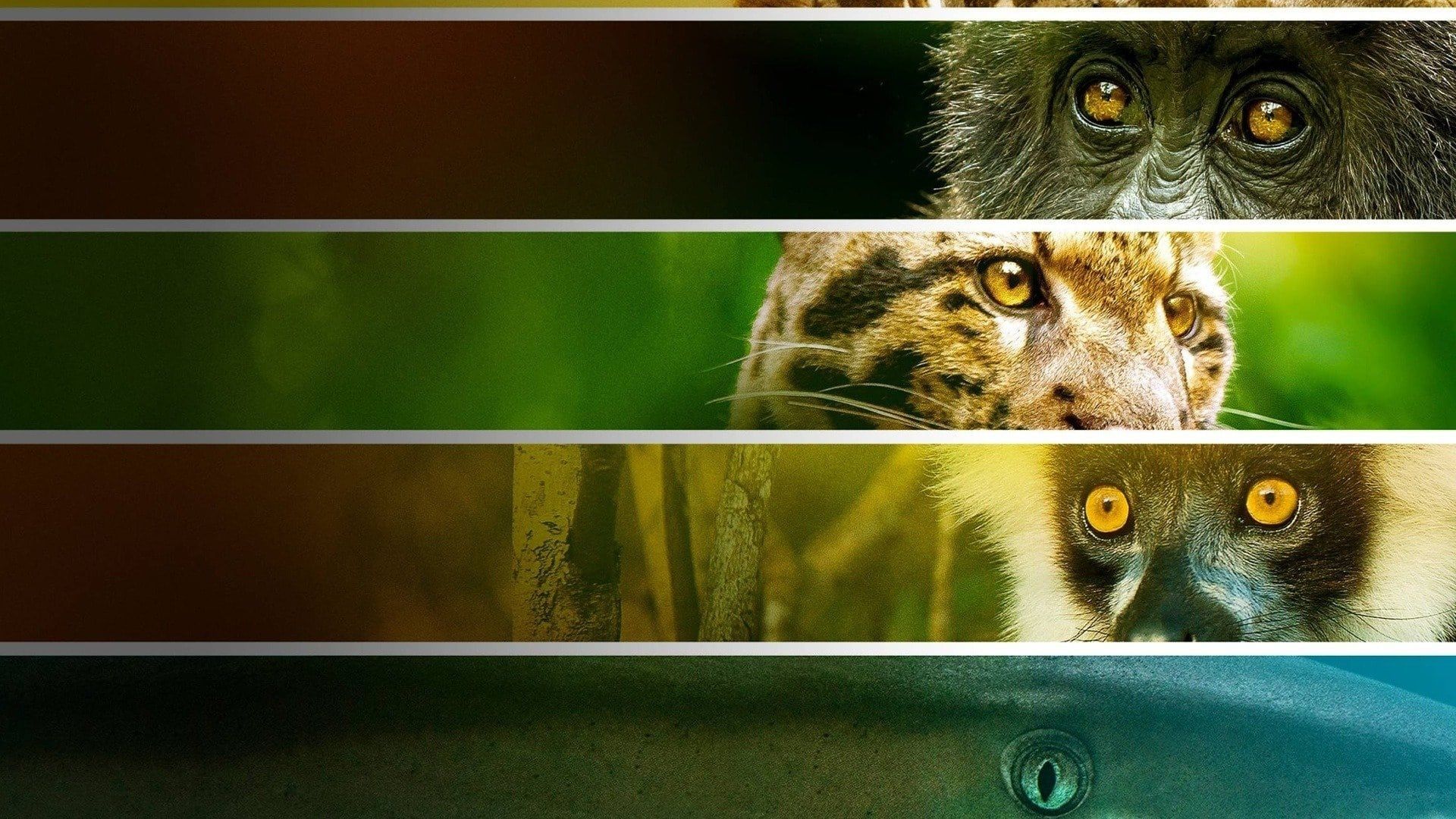Endangered background