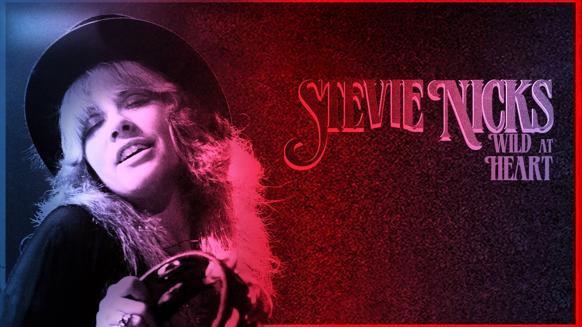 Stevie Nicks: Wild at Heart background