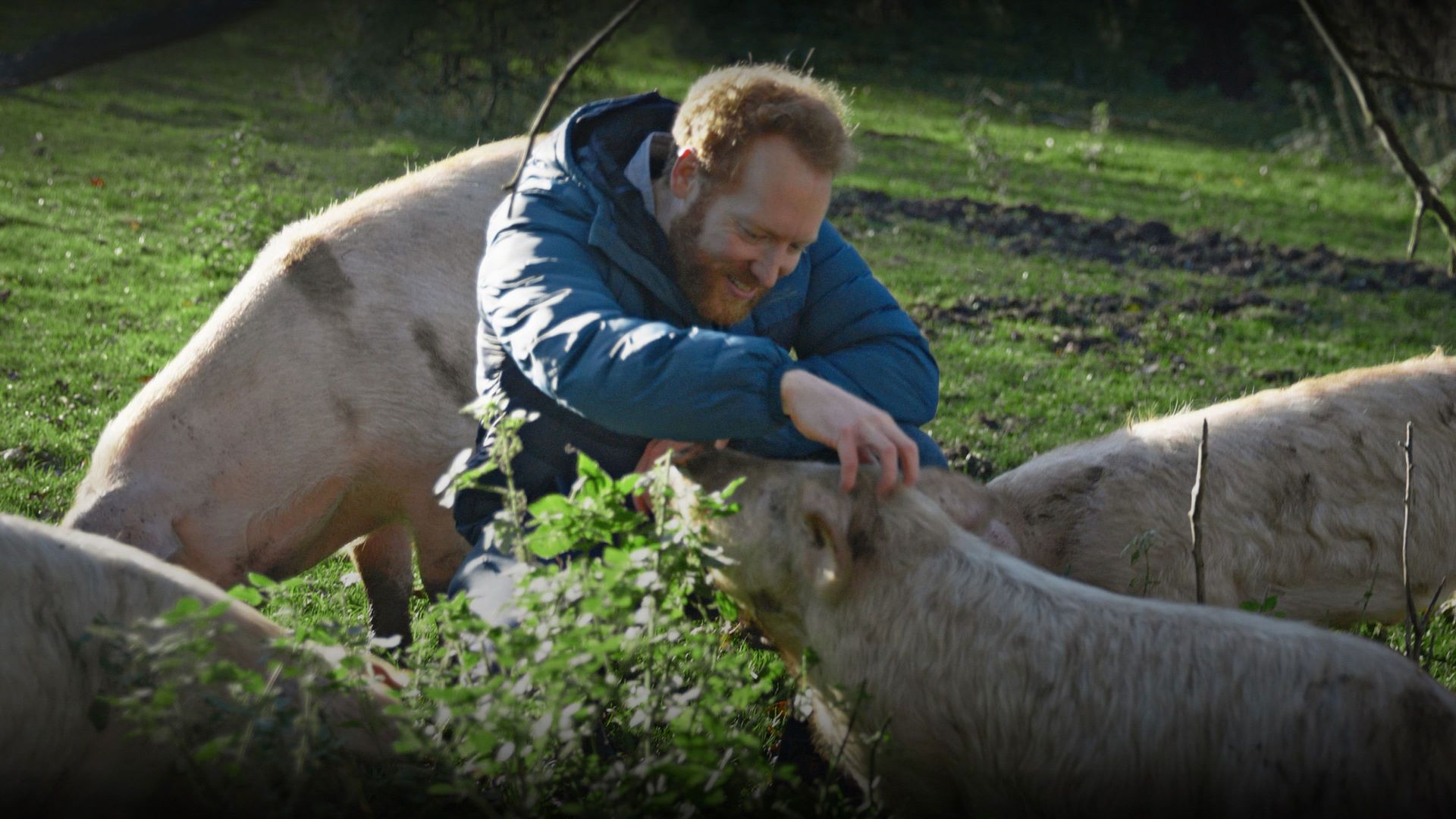 I Could Never Go Vegan background
