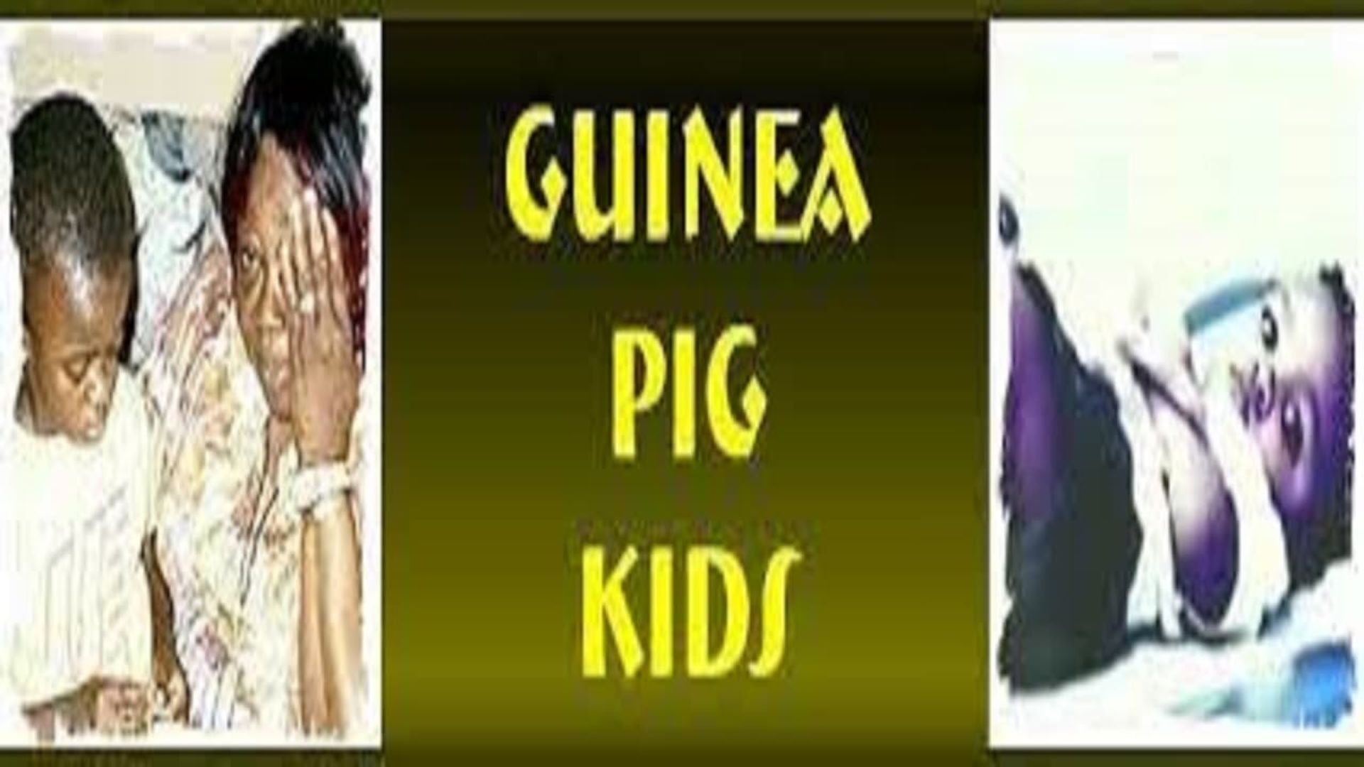 Guinea Pig Kids background