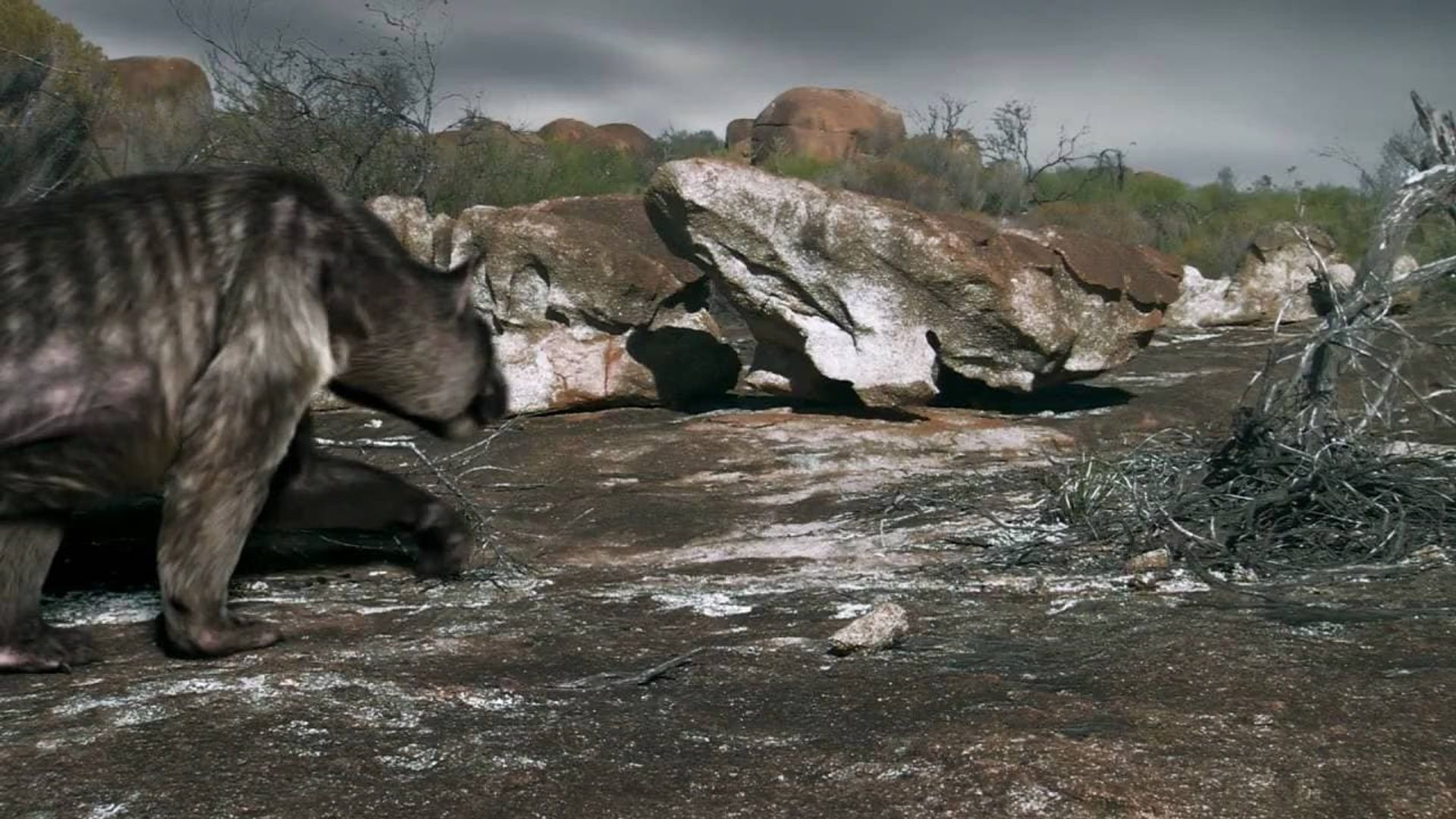 Death of the Megabeasts background