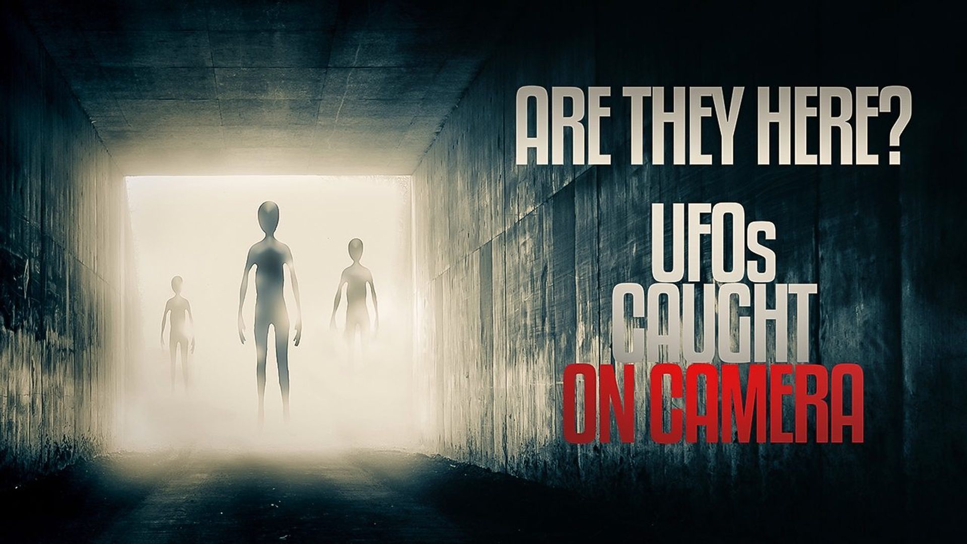 Are they Here? UFOs Caught on Camera background