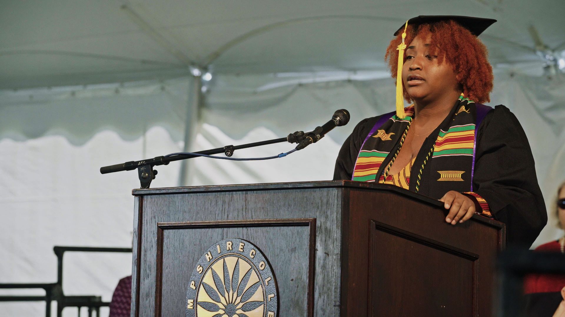 The Unmaking of A College background
