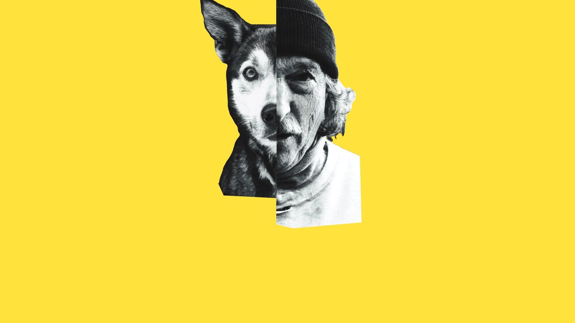 Underdog background